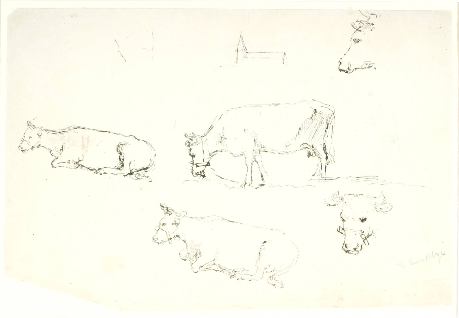 Studier af køer, Dankvart Dreyer, 1831-1852