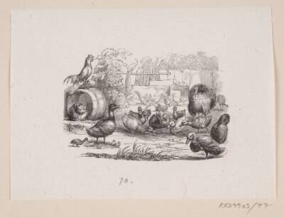 Illustration til "Den grimme Ælling" i H.C. Andersen, "Eventyr og Historier", Bind 1