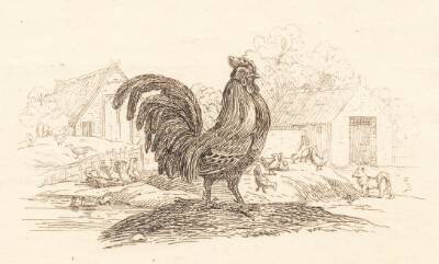 Illustration til "Halvhundrede Fabler for Børn" af Hey