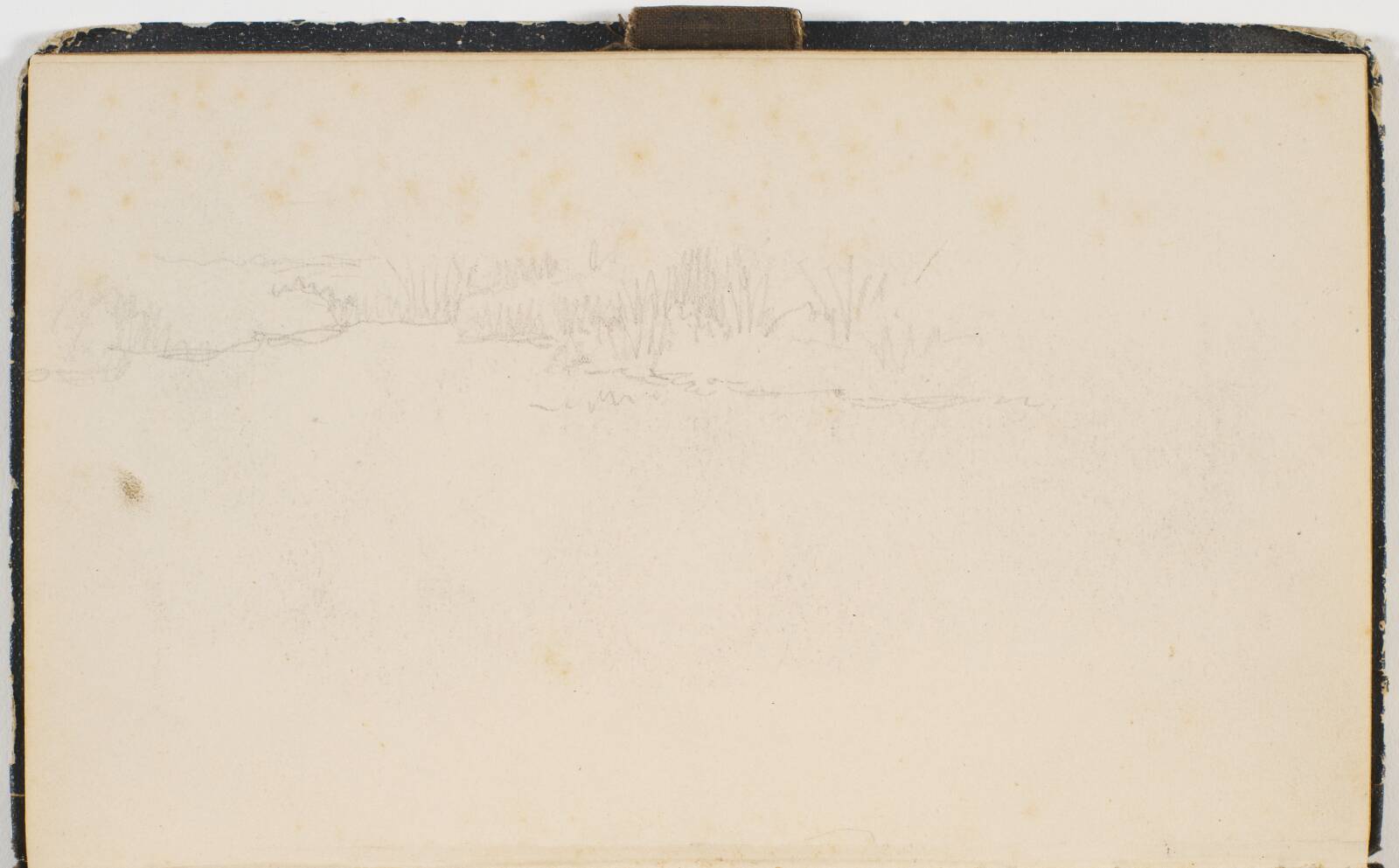 Siv i vandkant, P.C. Skovgaard, 1872