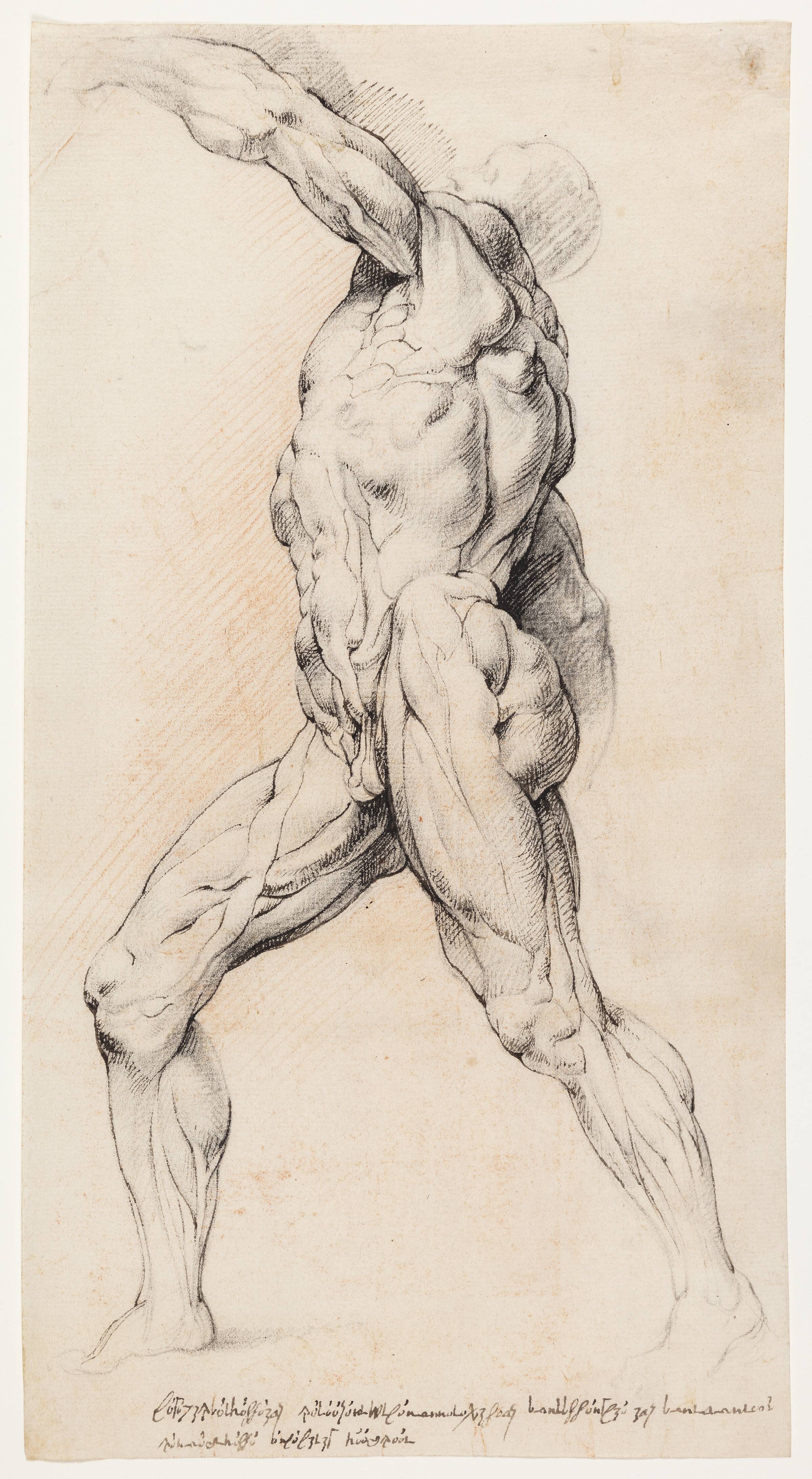 Anatomisk studie (écorché).En gående, flået mand med løftet venstre arm, venstre drejet, Willem Panneels, 1628-1630