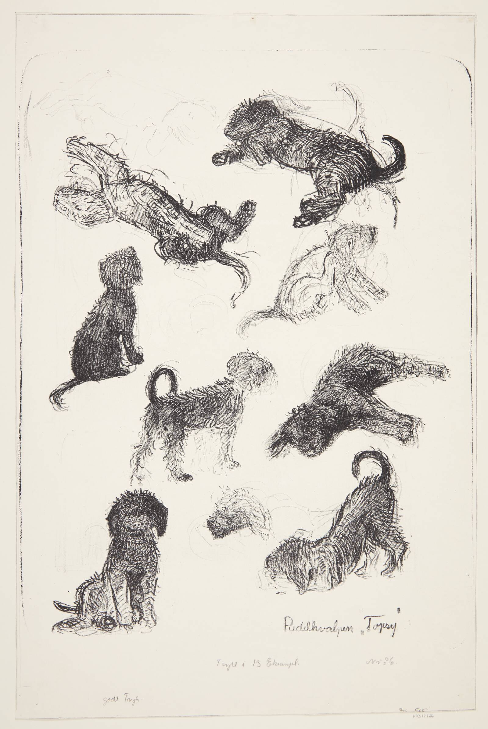 Pudelhvalpen "Topsy". Studieblad, Jane Muus, 1944-1945