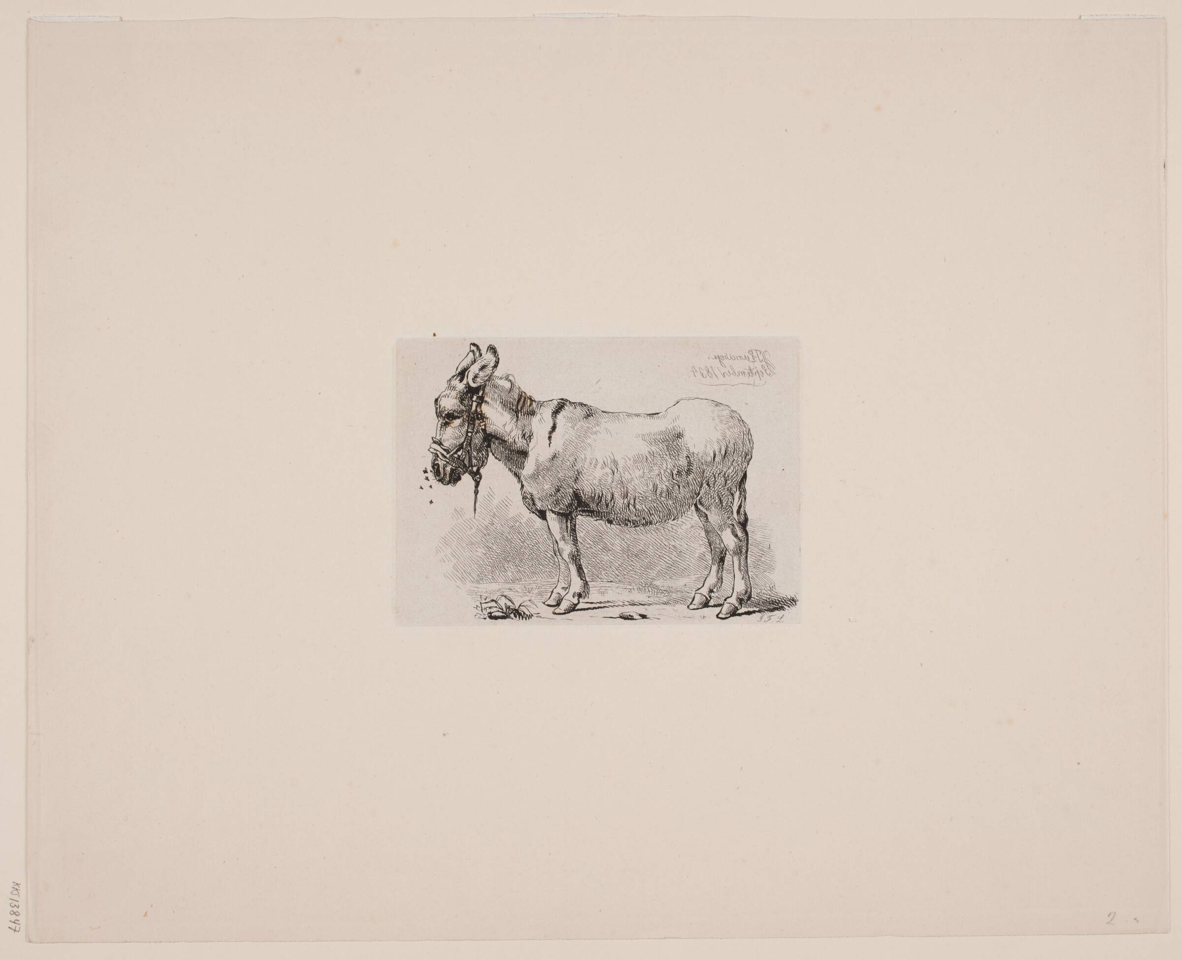 Et æsel, plaget af fluer, Johan Thomas Lundbye, 1834