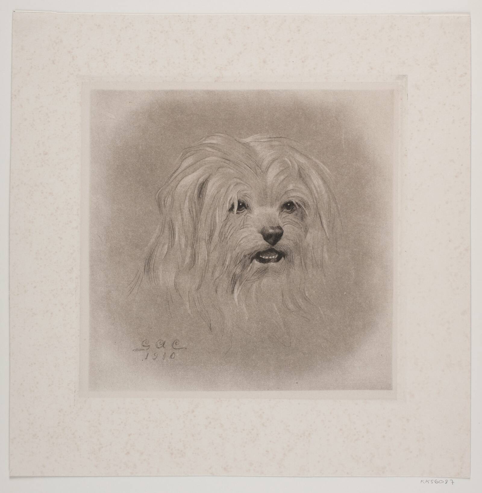 Hundehoved, G.A. Clemens, 1910