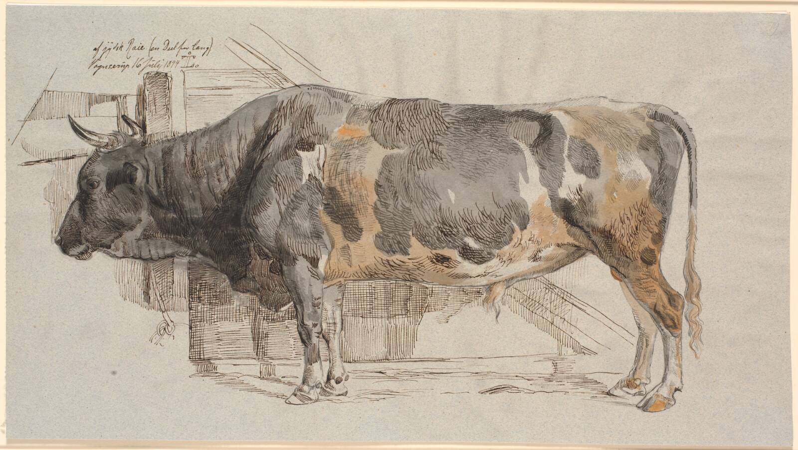 Stående tyr i sin bås, Johan Thomas Lundbye, 1844