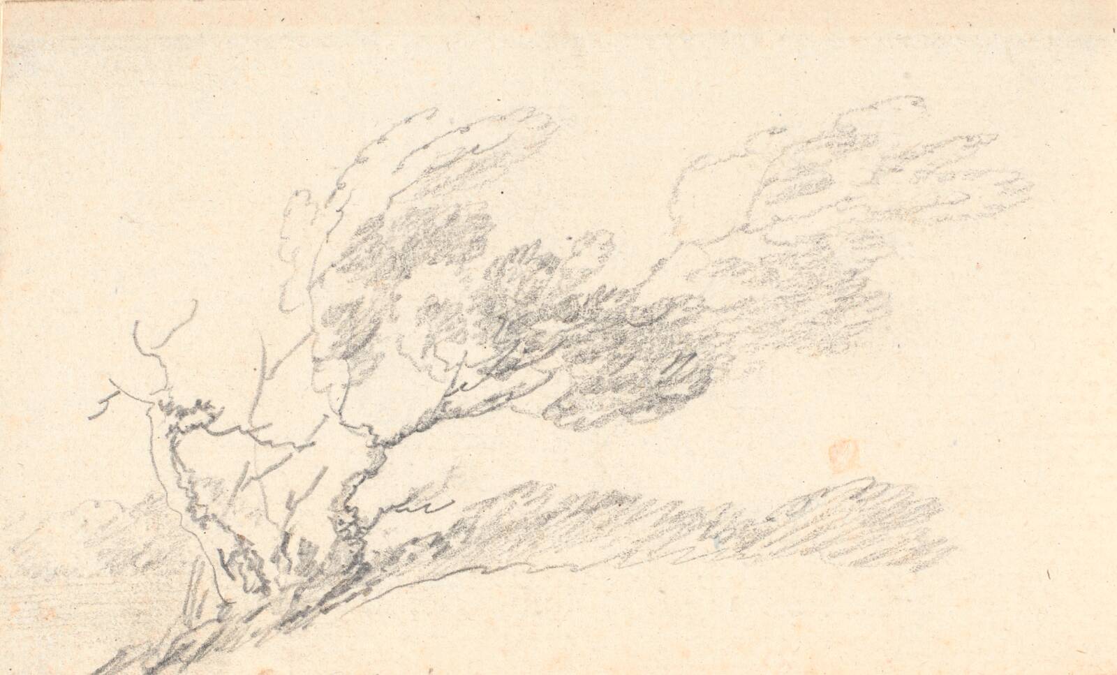 Studie af træ i blæst, Jens Juel, 1790-1799