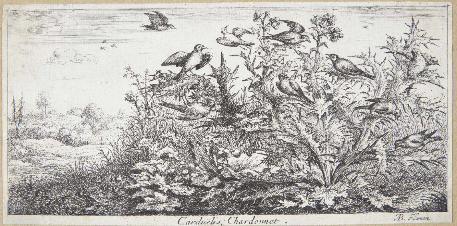 Stillidsen (Carduëlis), Albert Flamen, 1620-1669