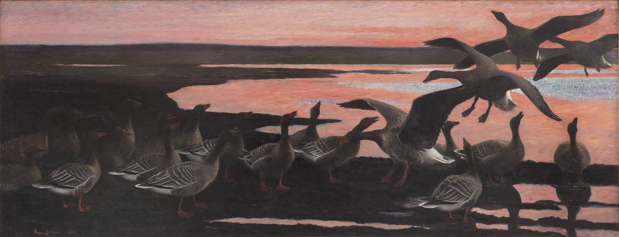 Vildgæs, Bruno Liljefors, 1898