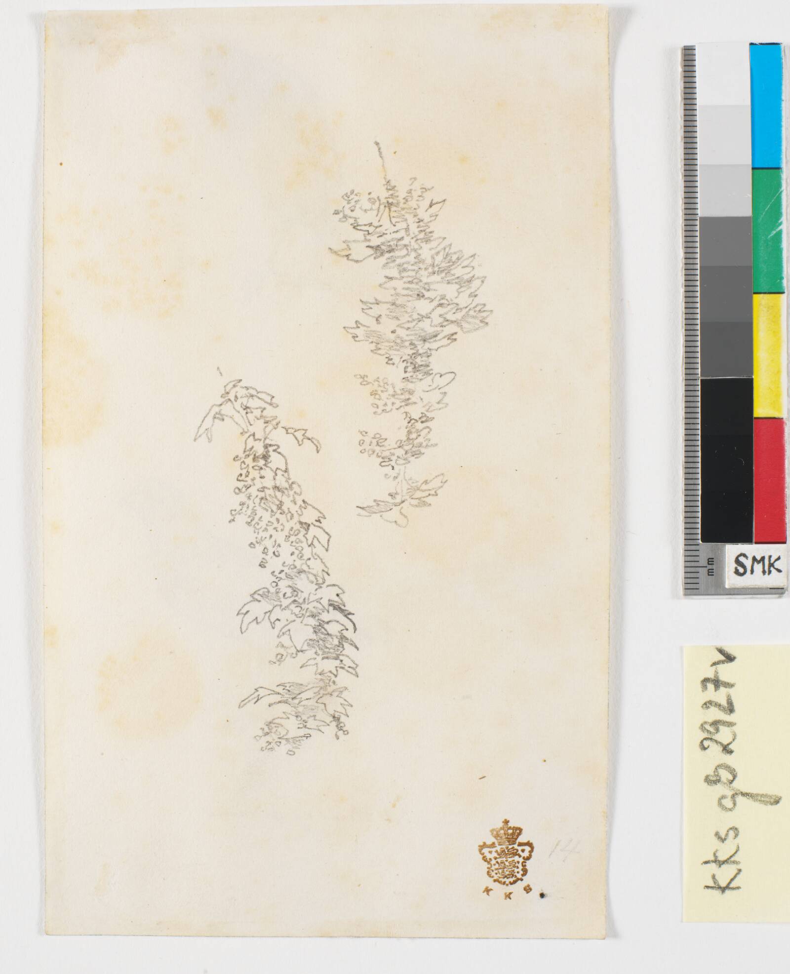 Plantestudier, Christen Købke, 1810-1848