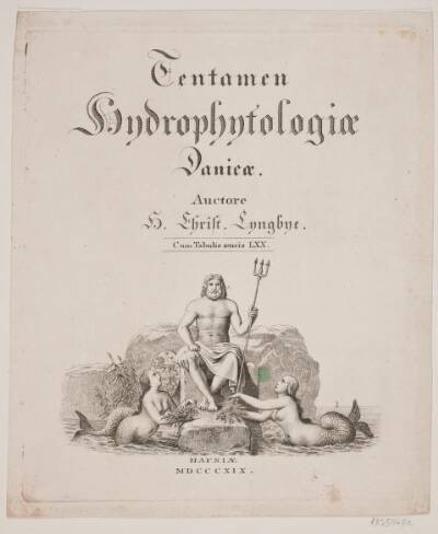 Titelblad til H. C. Lyngbye, "Tentamen Hydrophytologia Danicæ", København 1819