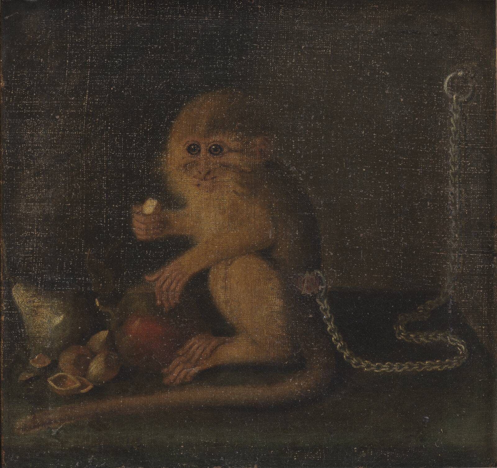 En abe, Ubekendt, 1890