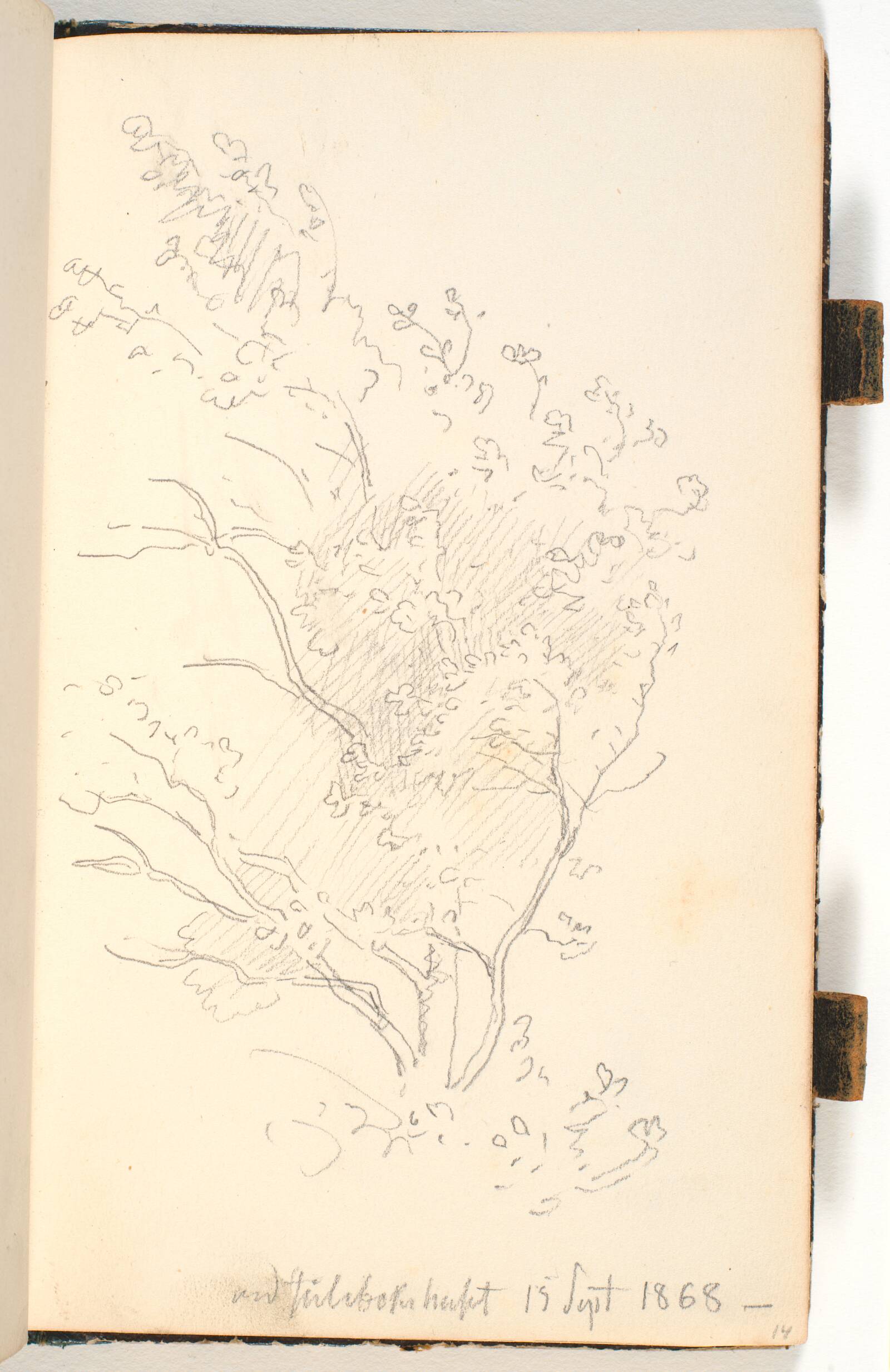 Et træ med løv, P.C. Skovgaard, 1868