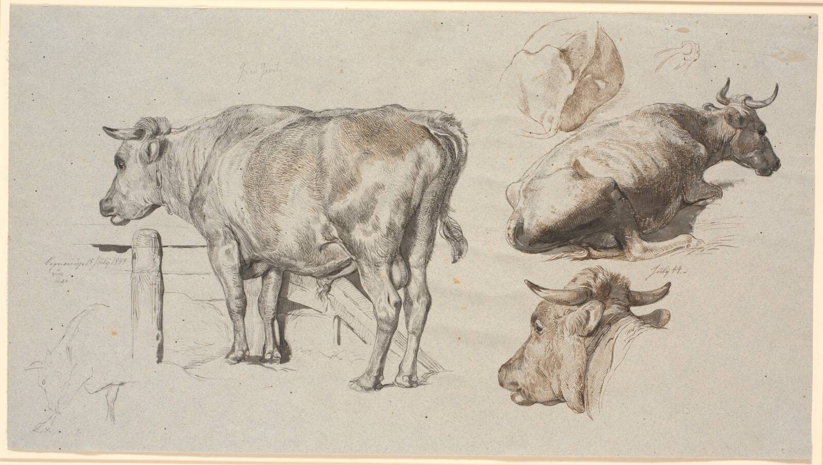 Kvægstudier. T.v. tyren Grev Geert, Johan Thomas Lundbye, 1844