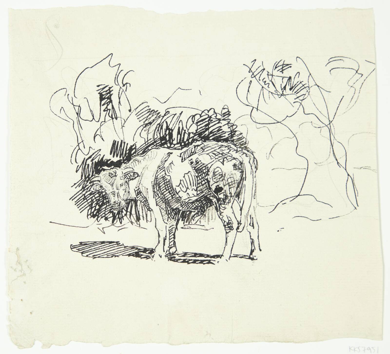 Stående tyr, Peter Hansen, 1911-1915
