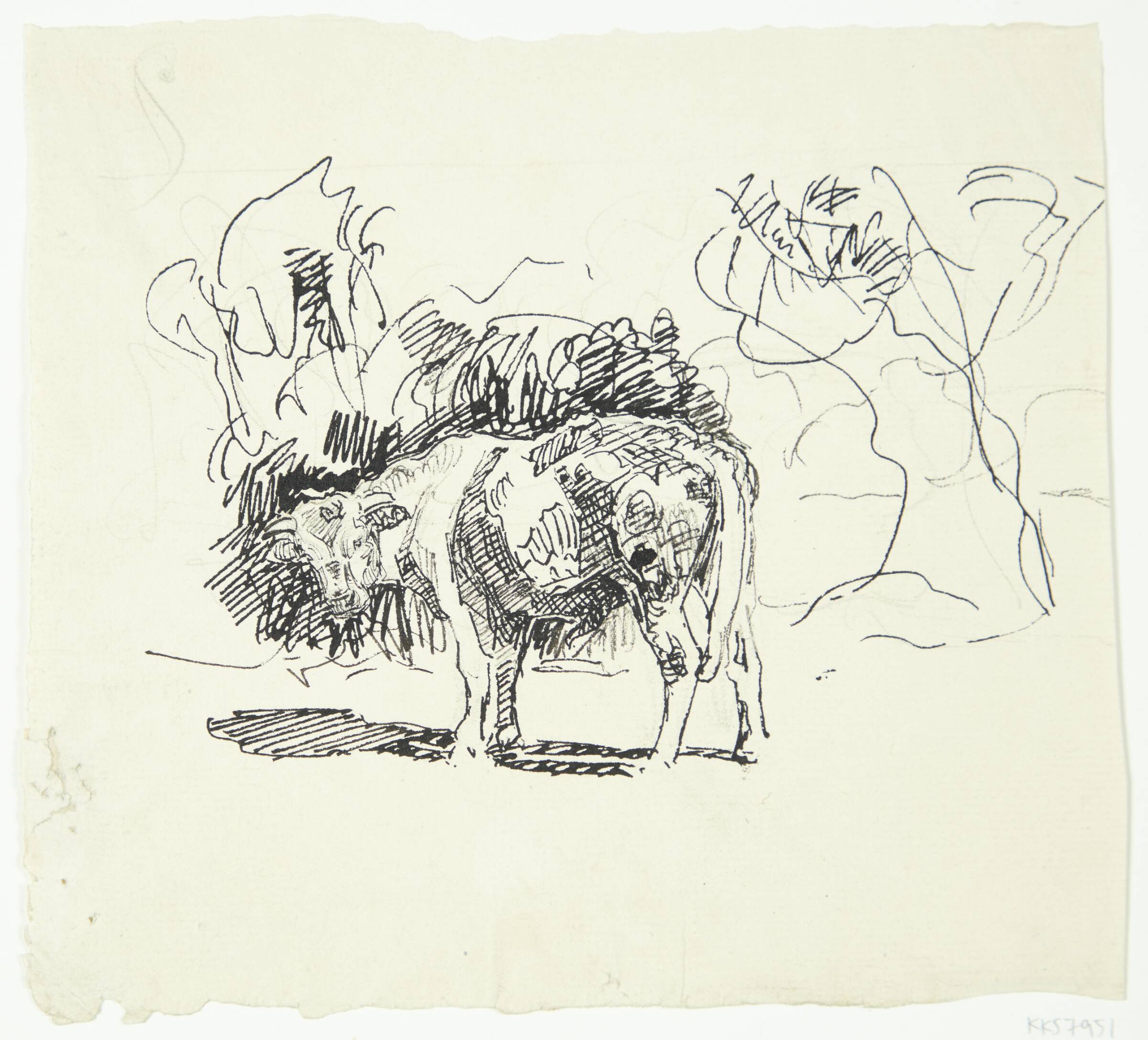 Stående tyr, Peter Hansen, 1911-1915