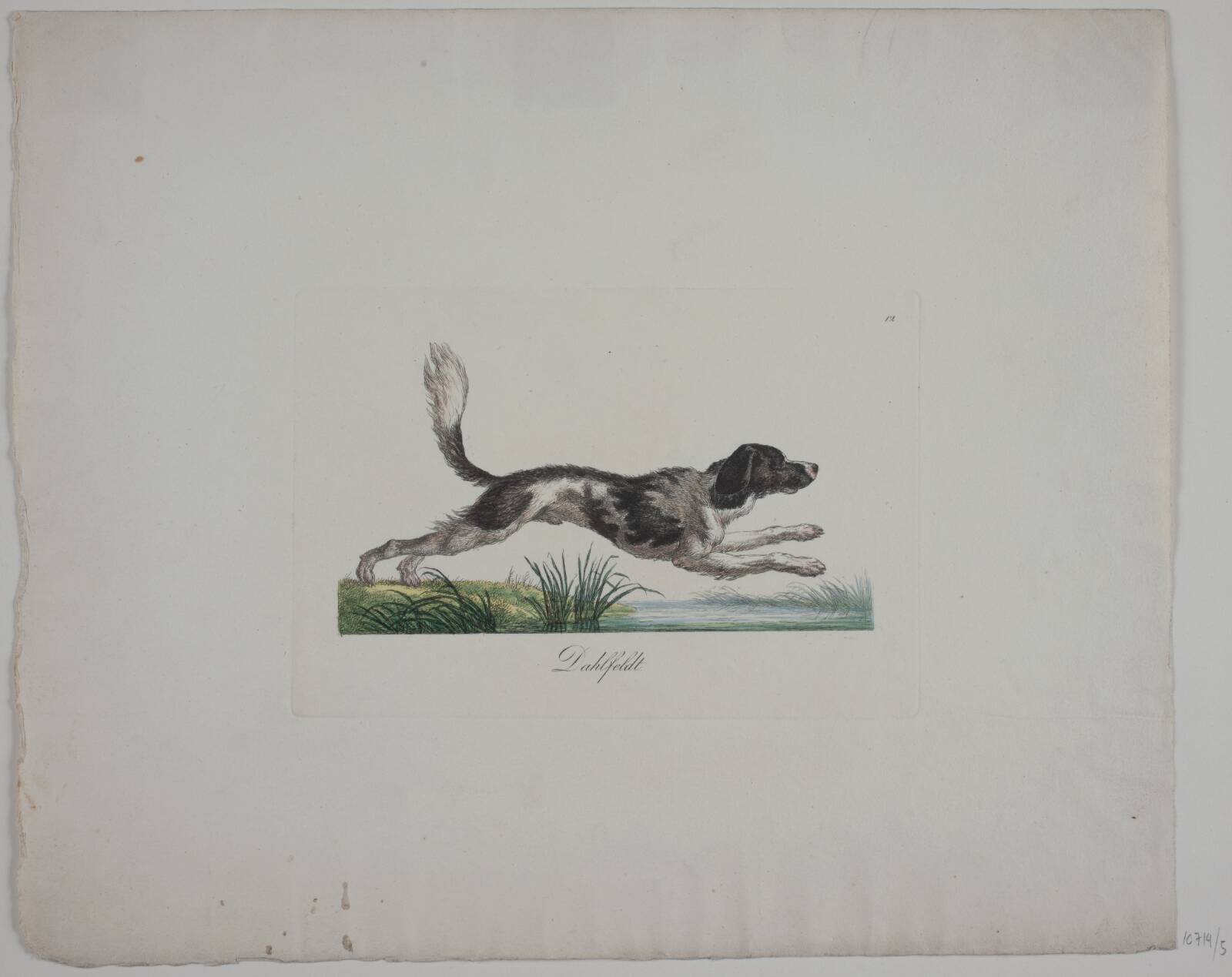 Dahlfeldt, Христиан Давид Гебауэр, 1821