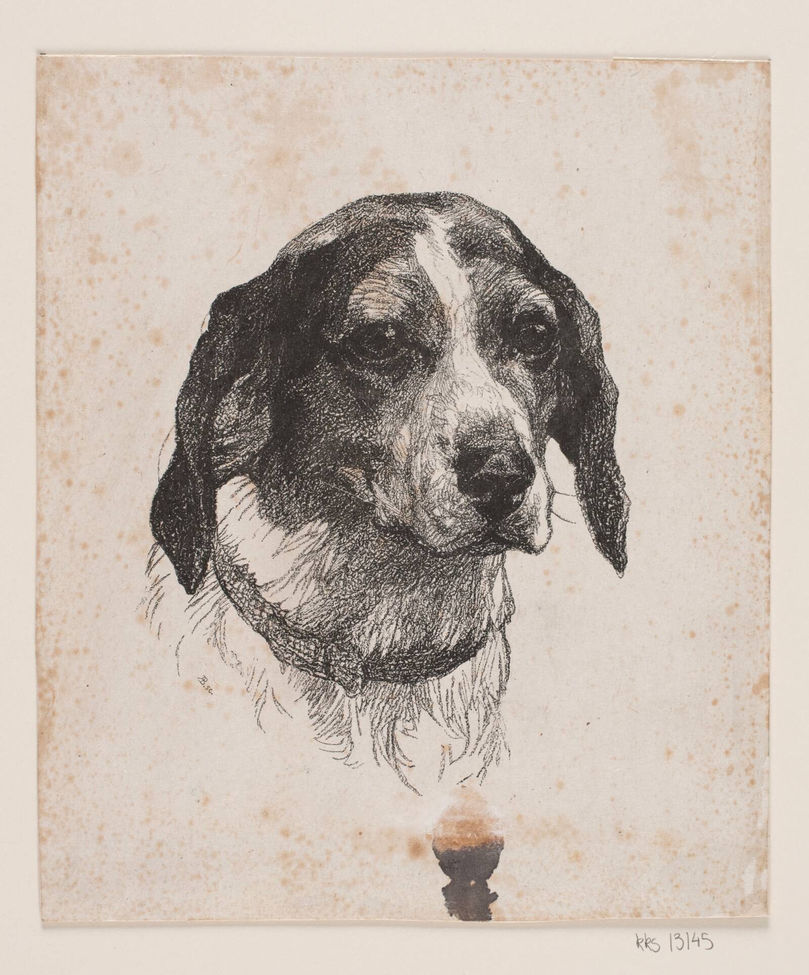 Et hundehoved, Alexander Blom, 1885