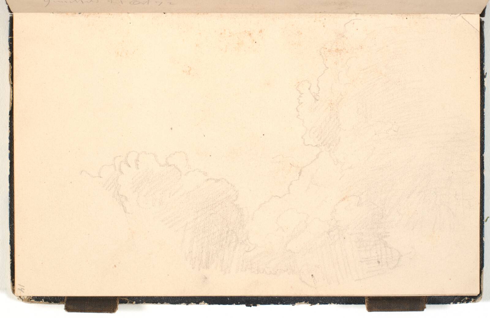 Trækrone, P.C. Skovgaard, 1872