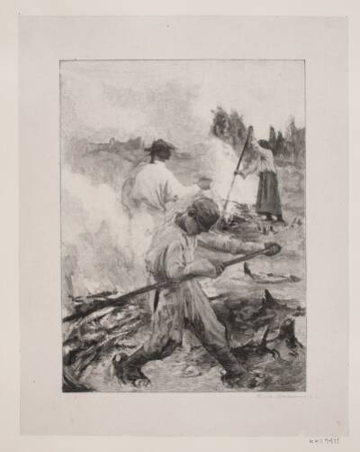 Kulsviere