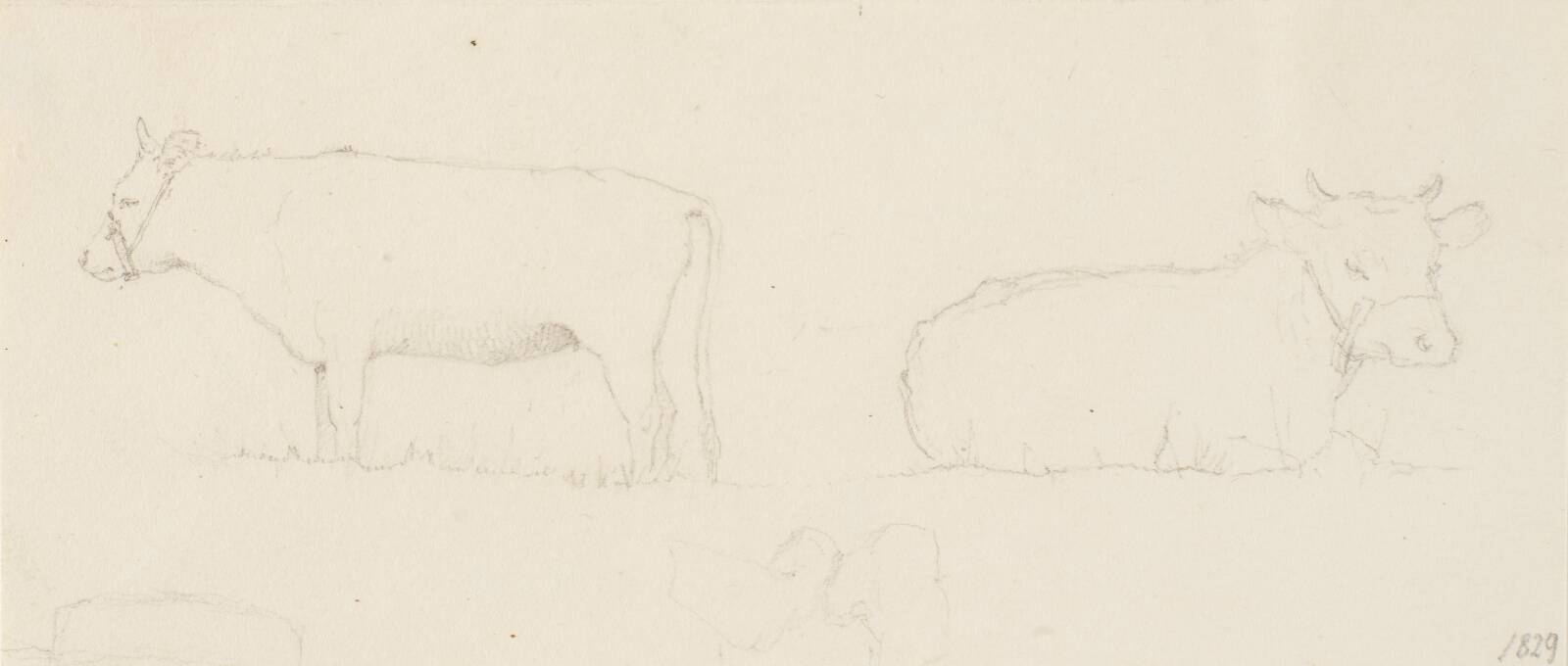 To køer, Christen Købke, 1829