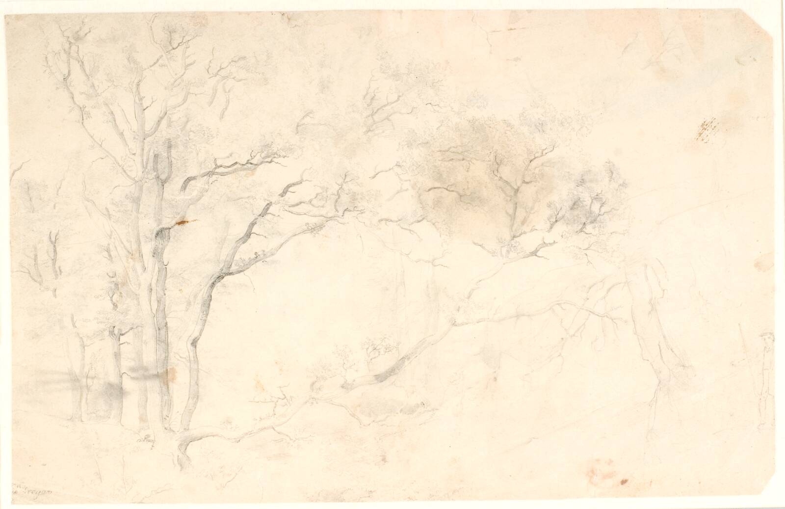 Træstudier, Dankvart Dreyer, 1837-1839