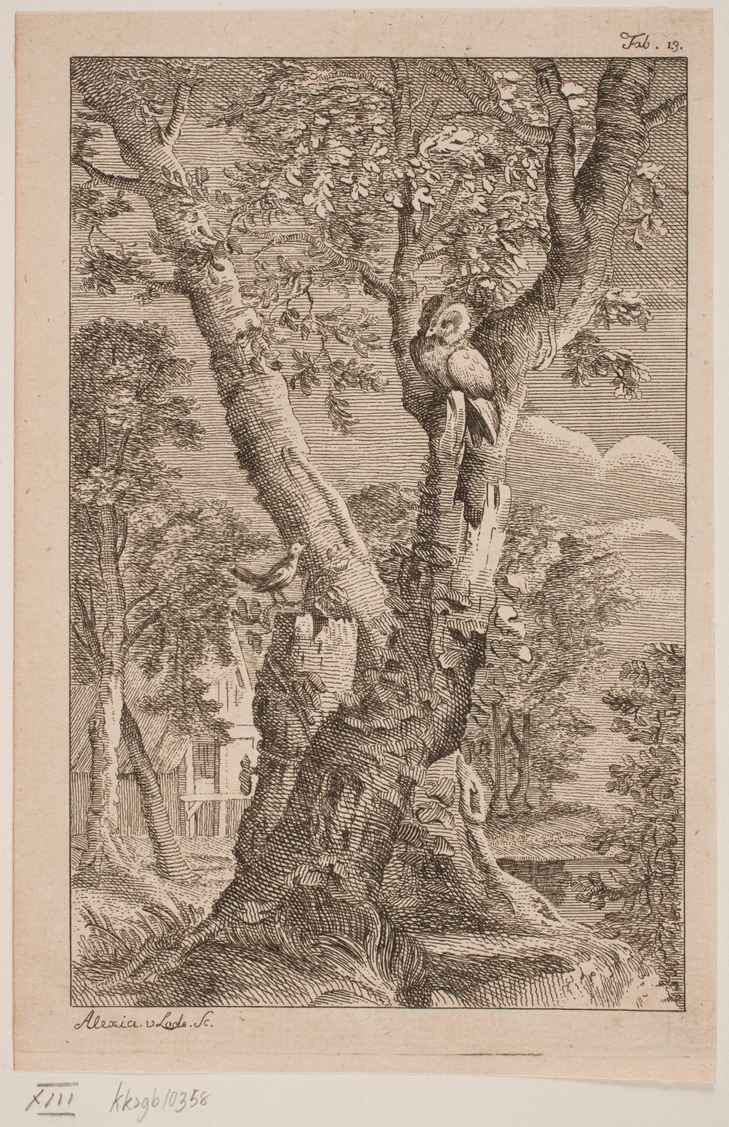 Uglen og Nattergalen, Alexia de Lode, 1760