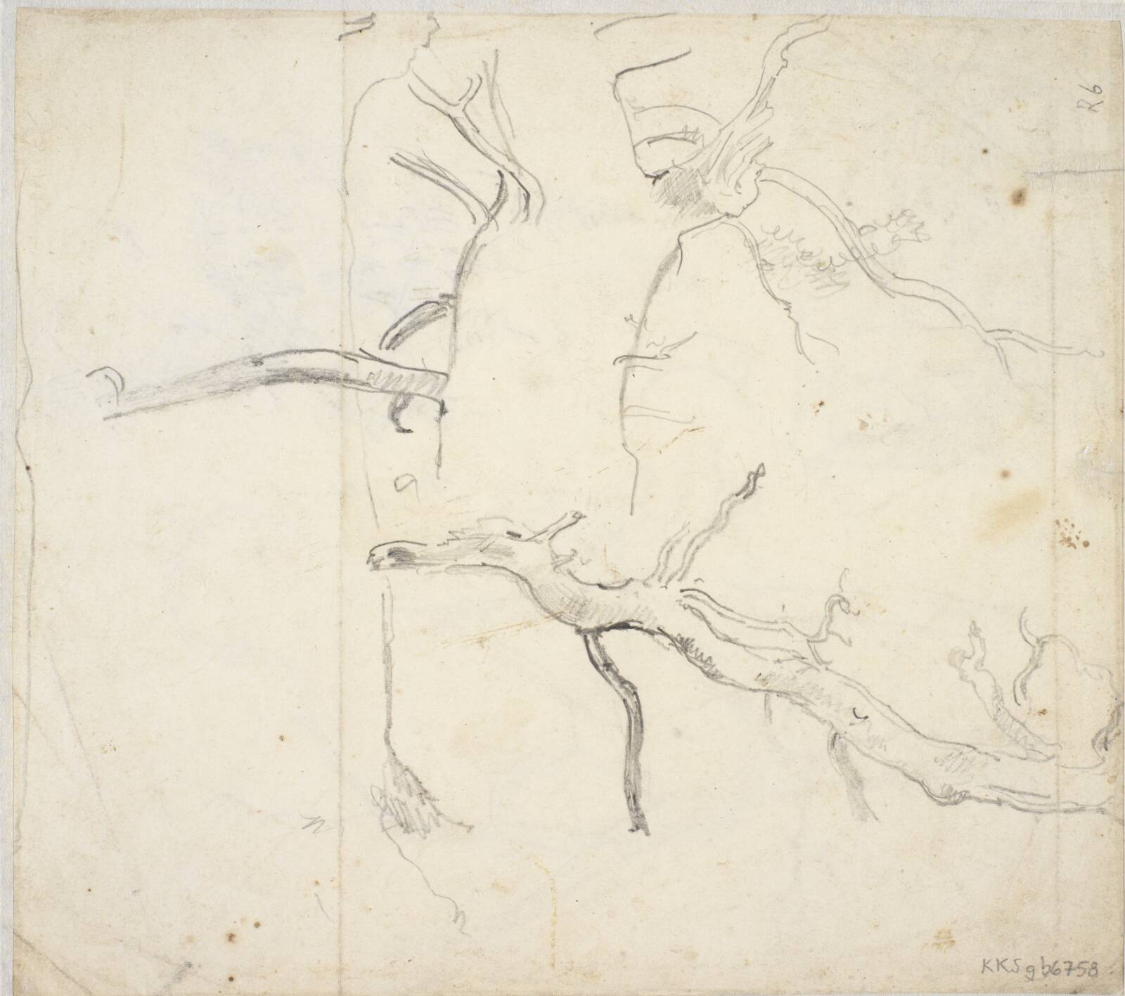 Træstudier, Dankvart Dreyer, 1840-1849