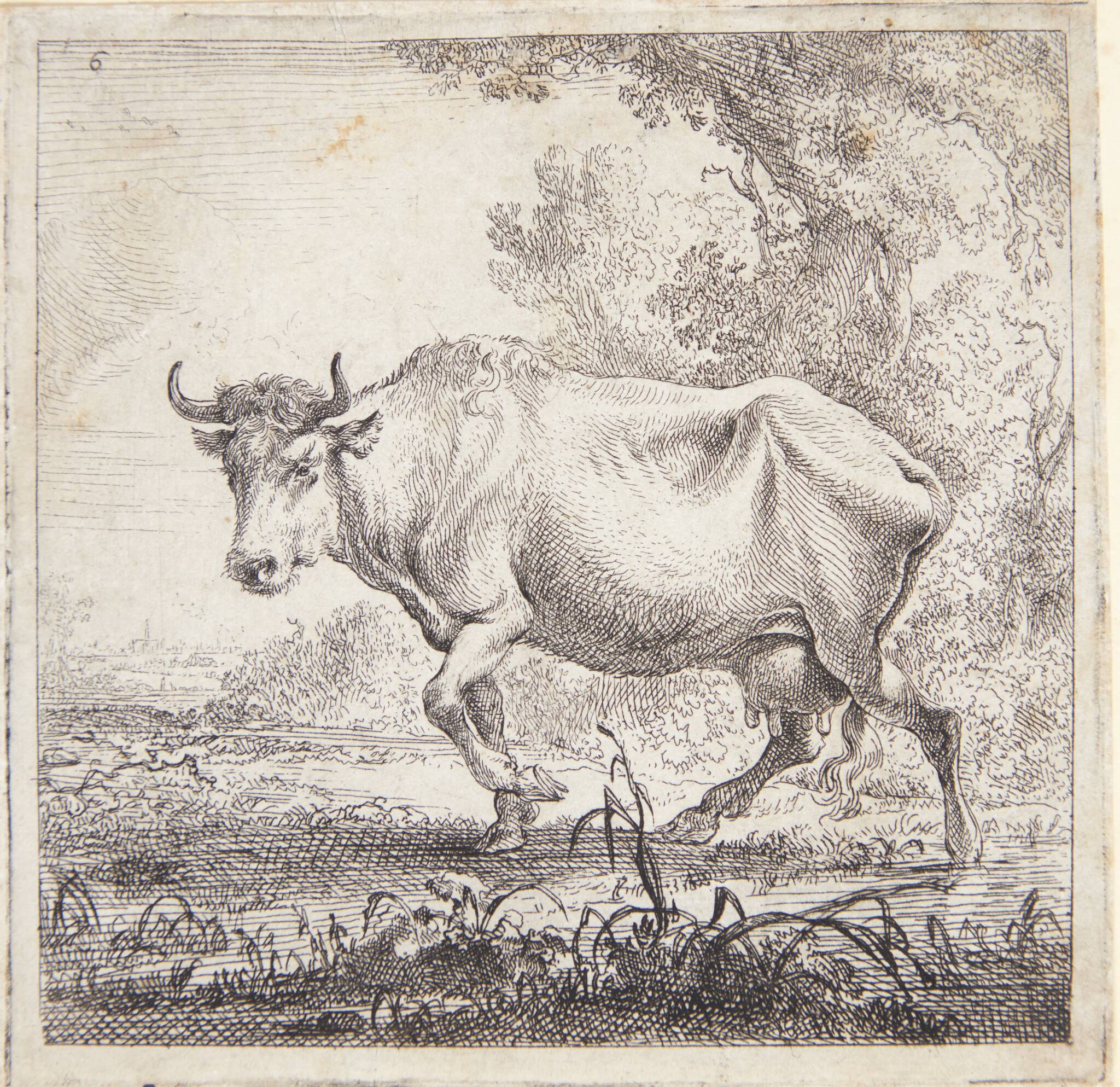 Gående ko