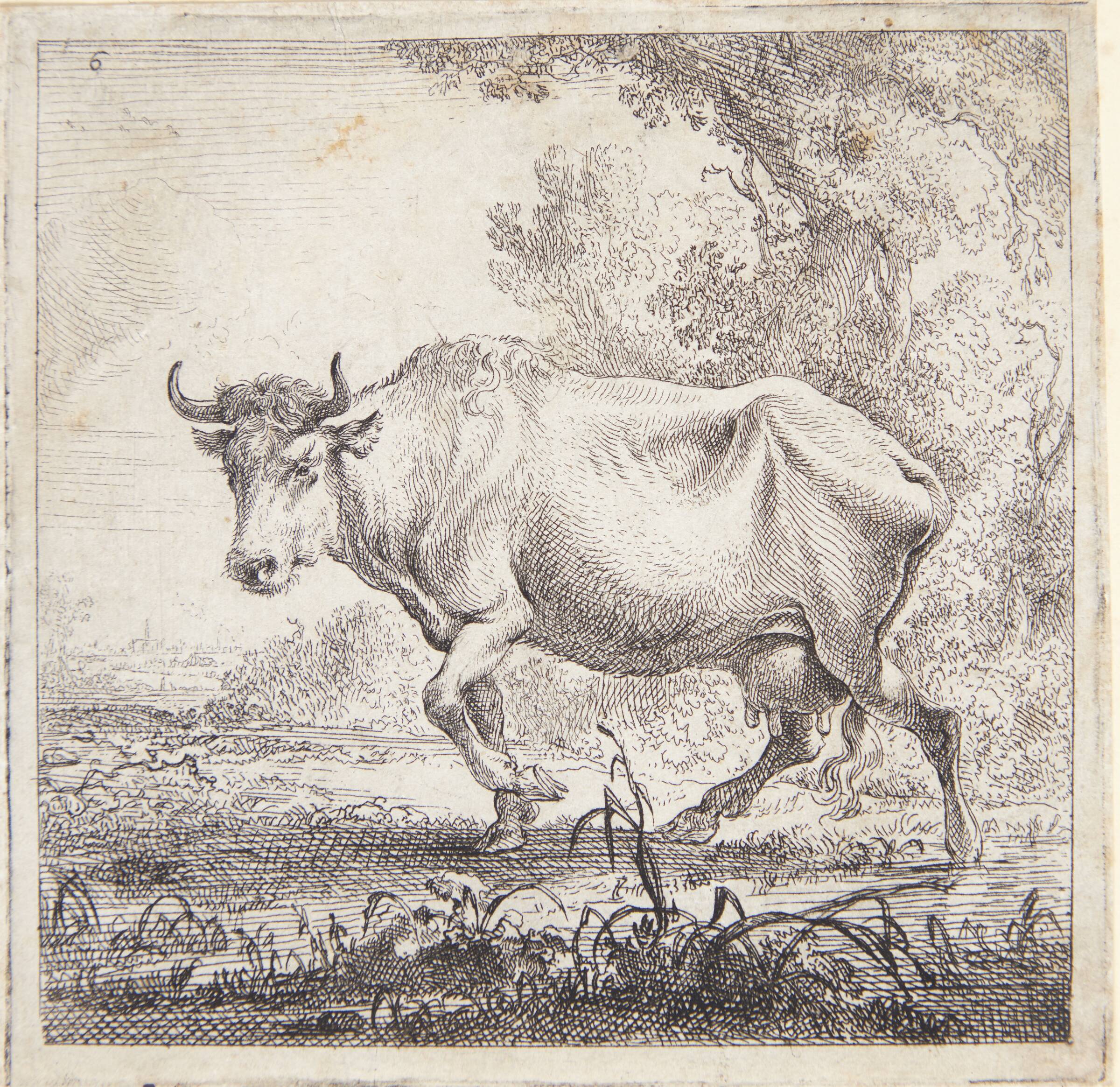 Gående ko, Nicolaes Berchem, 1644