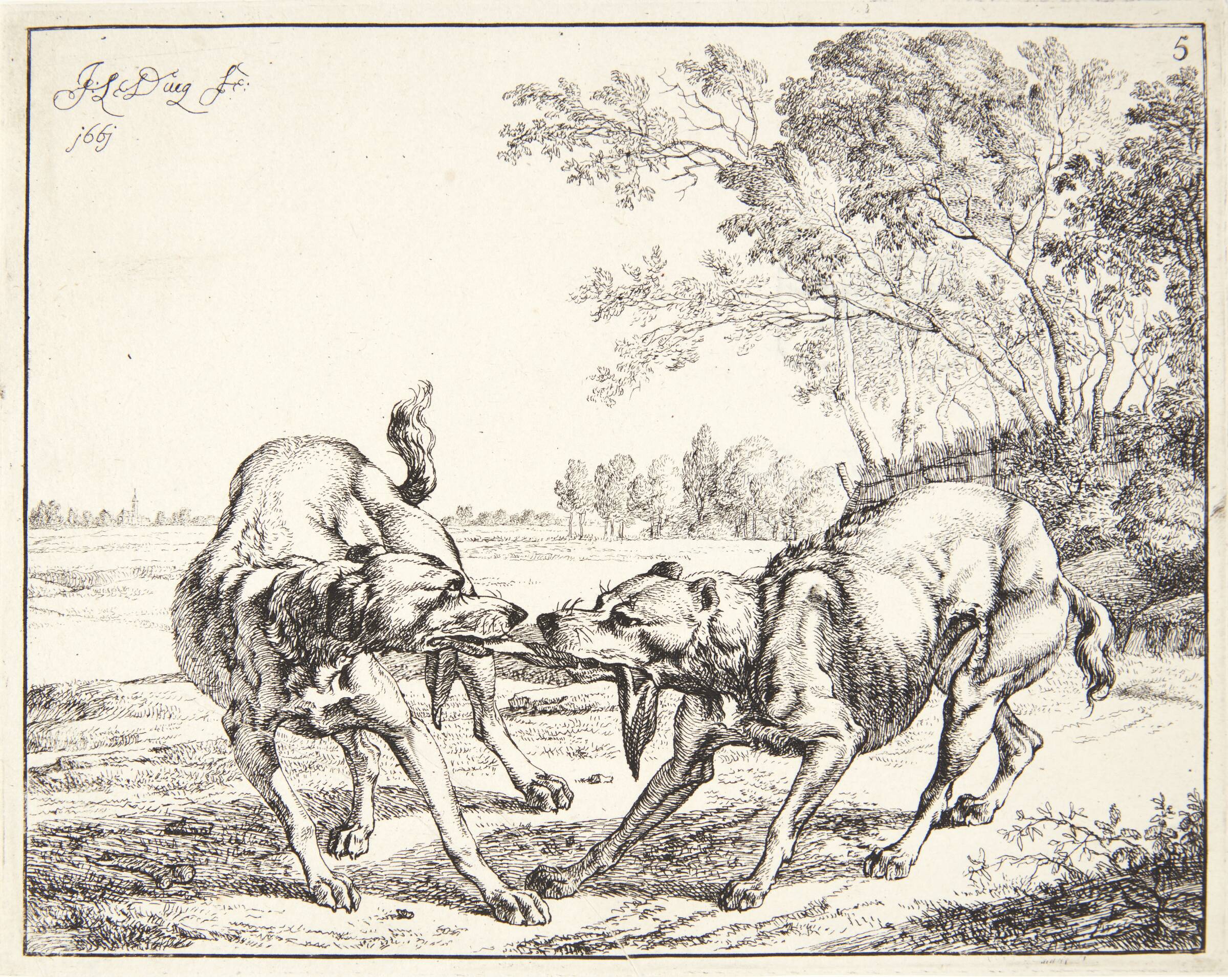 To hunde, der kæmper om et stykke kød, Johan le Ducq, 1661