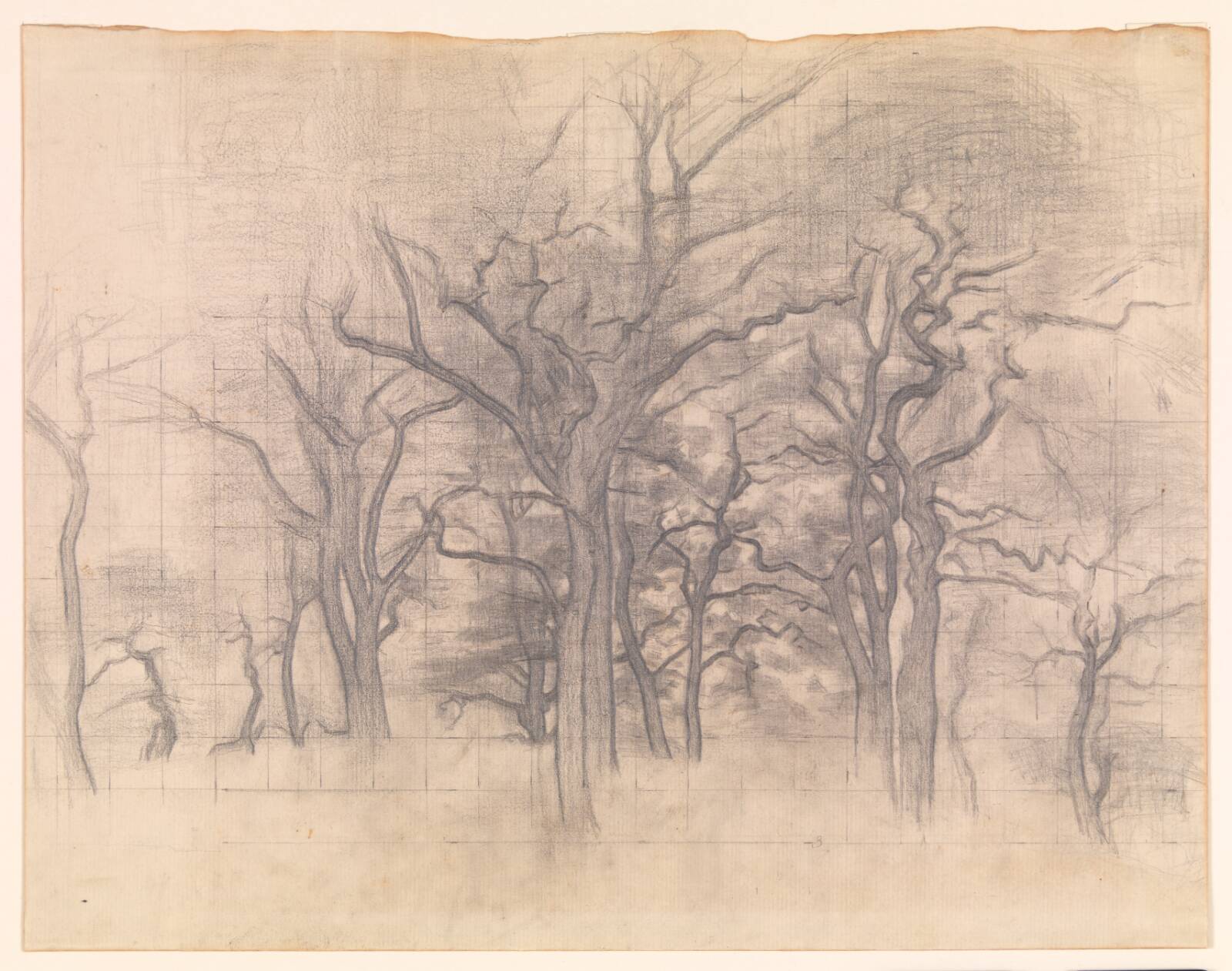 Egetræer, Vilhelm Hammershøi, 1899-1902
