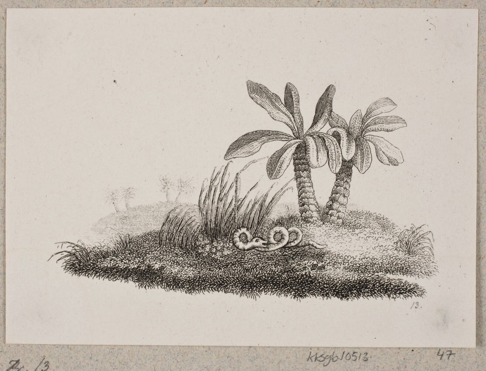 Slangen, Oluf Olufsen Bagge, 1831-1833