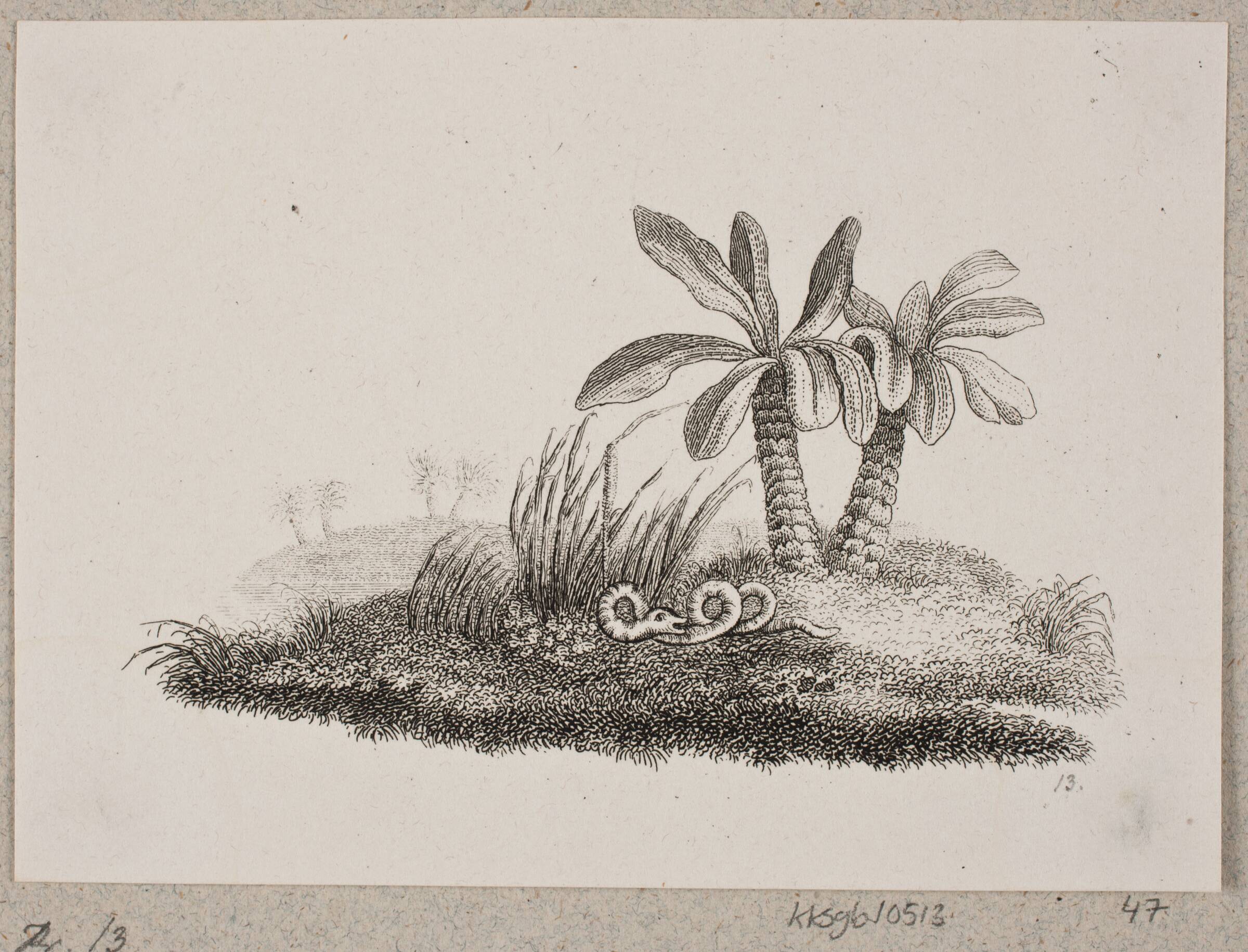 Slangen, Oluf Olufsen Bagge, 1831-1833