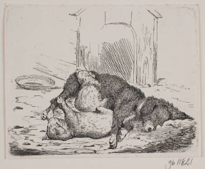 Lænkehund med hvalp