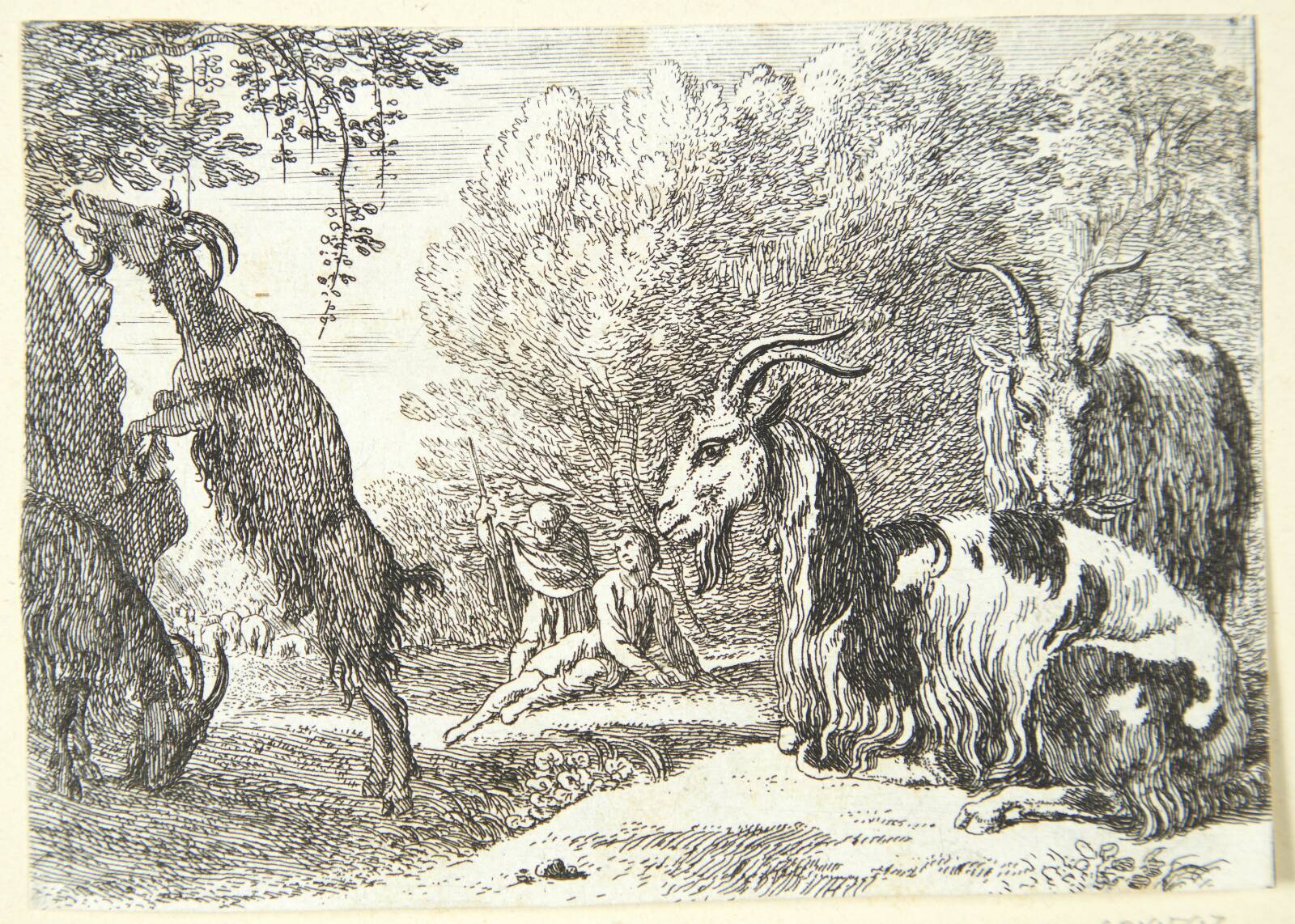 Geder, Herman van Swanevelt, 1603-1655
