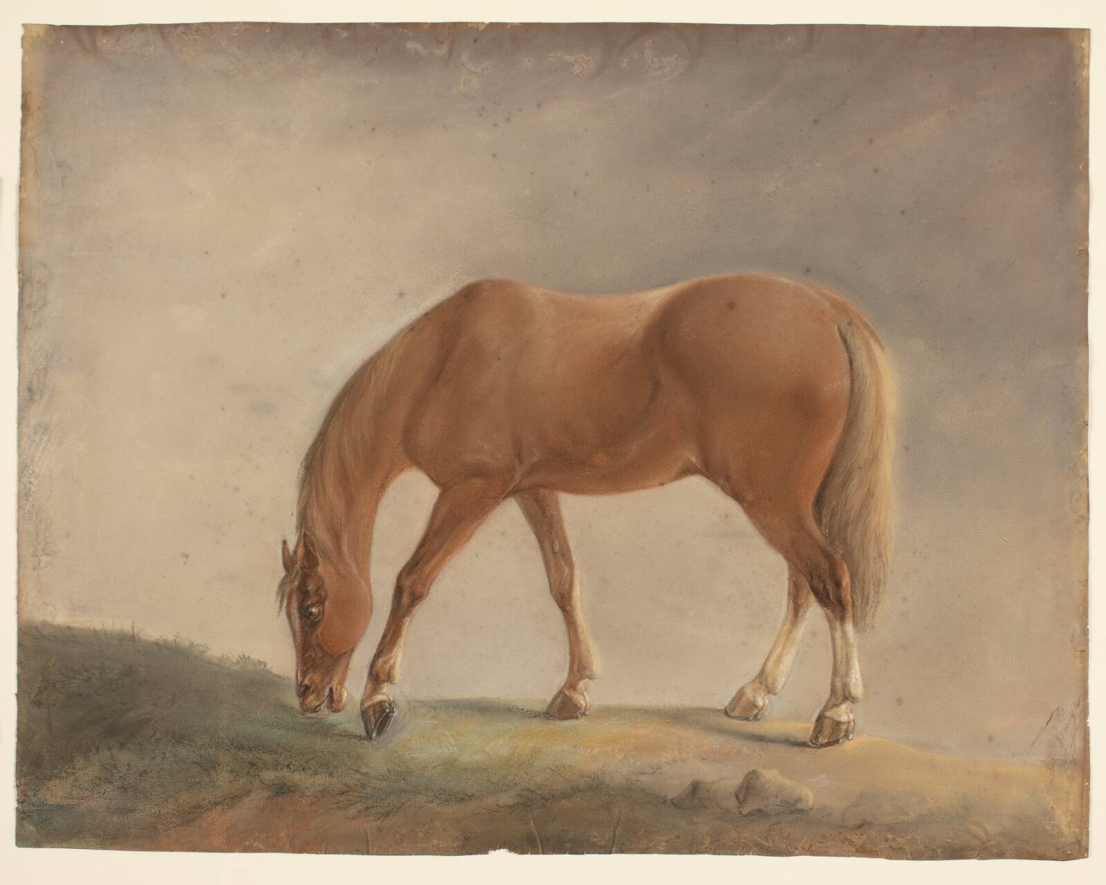 Stående brun hest, Ubekendt, 1795