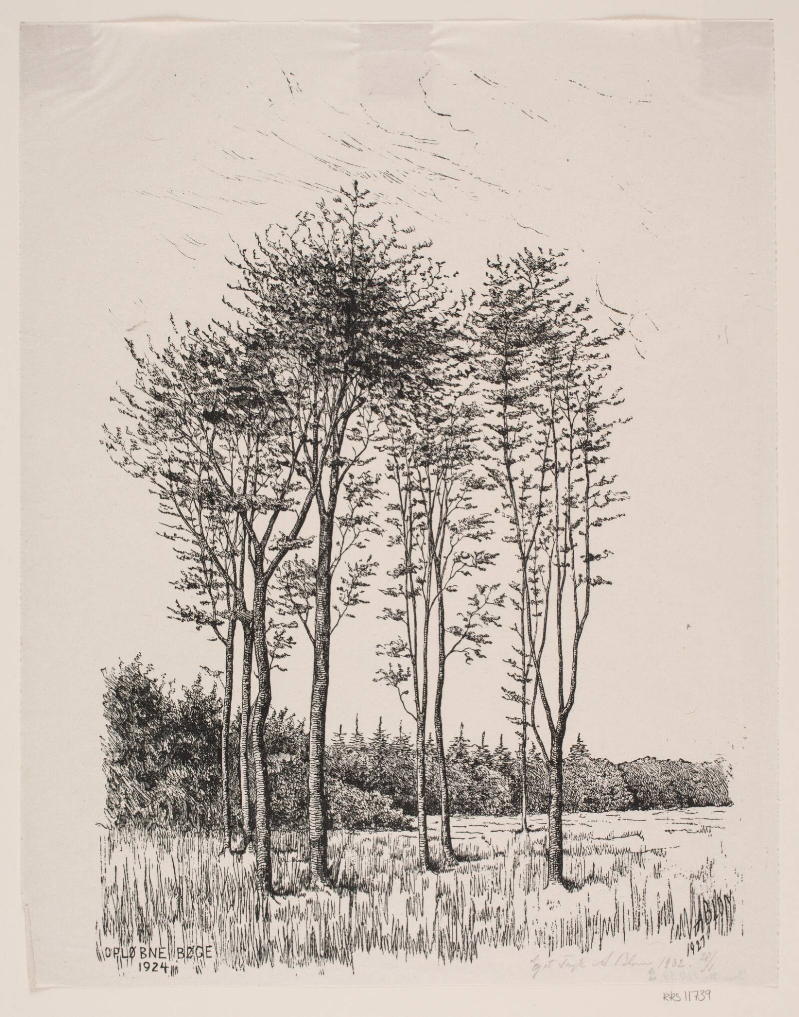 Opløbne bøge, Alexander Blom, 1932