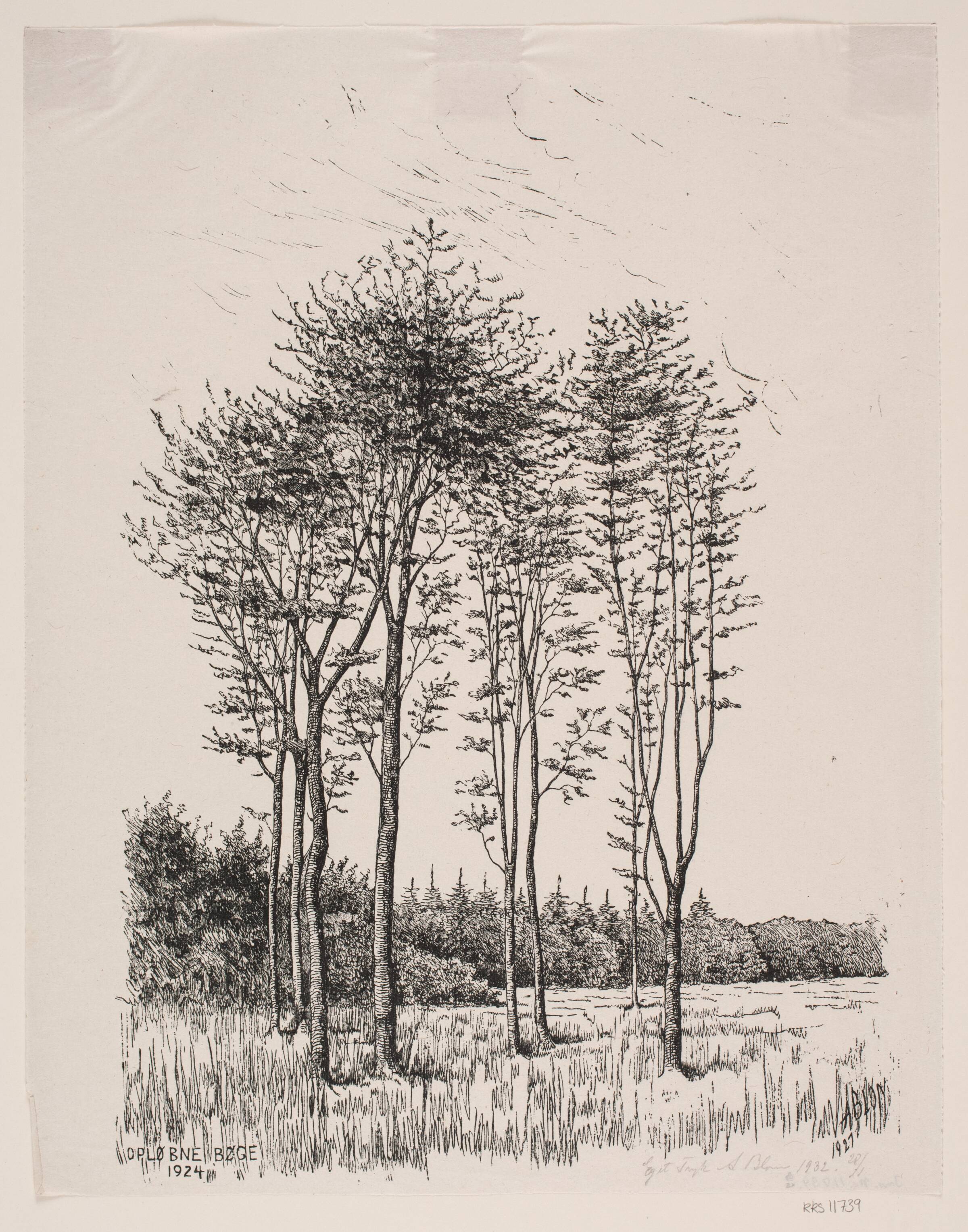 Opløbne bøge, Alexander Blom, 1932