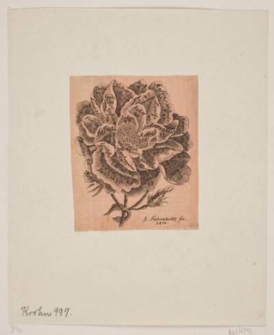 Titelkobber: En jubel-rose