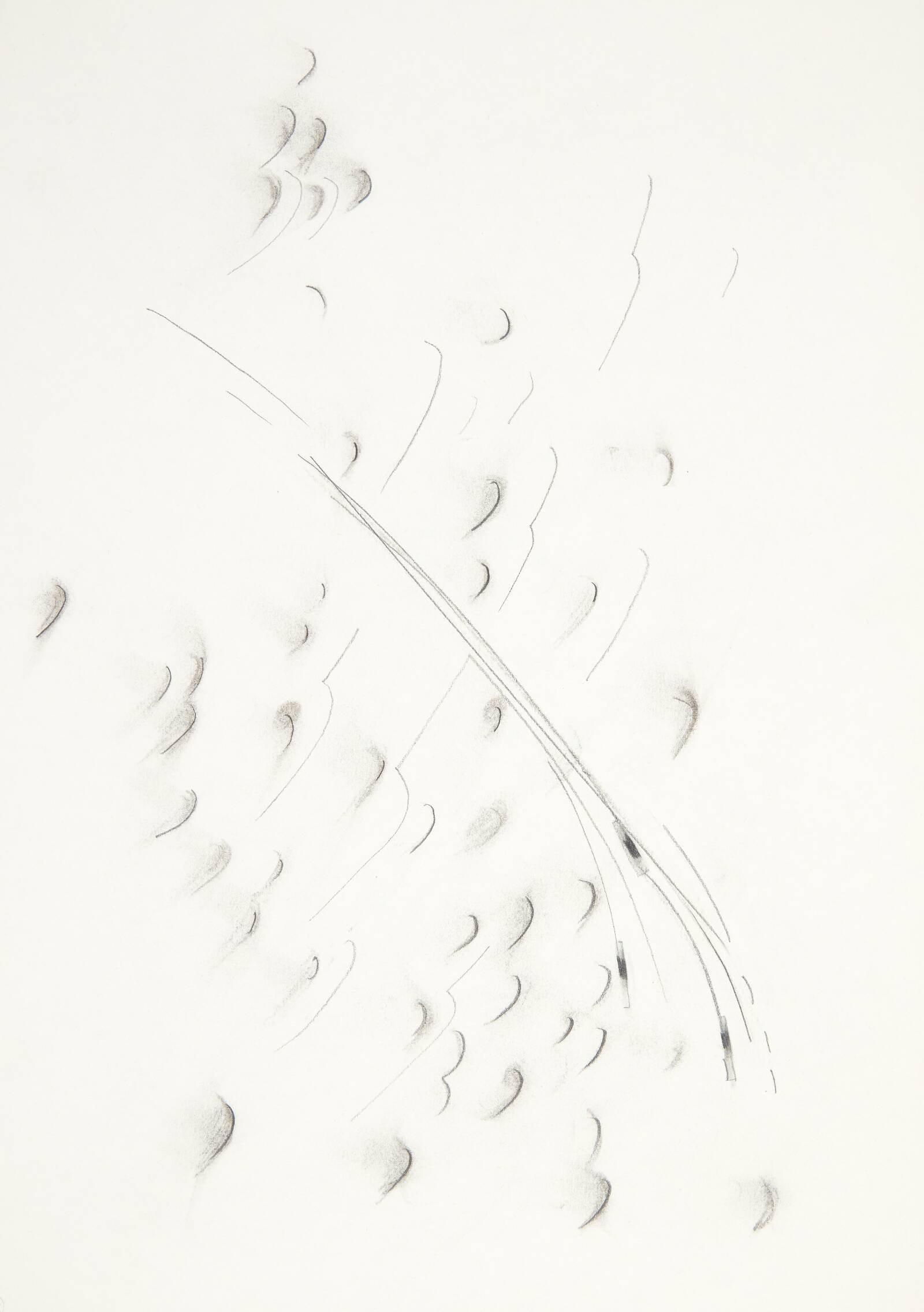Toptegning, Kirsten Lockenwitz, 1985
