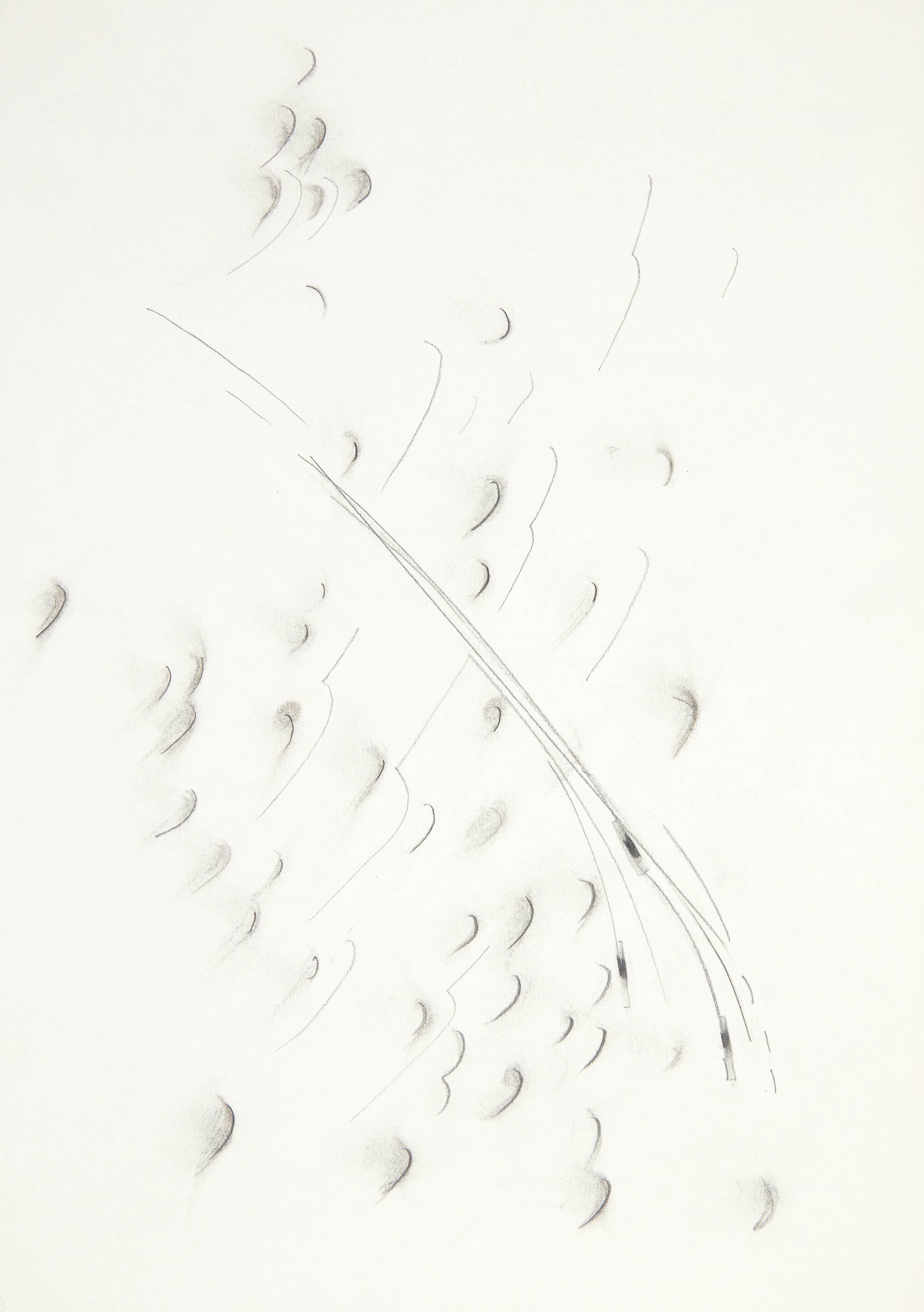 Toptegning, Kirsten Lockenwitz, 1985