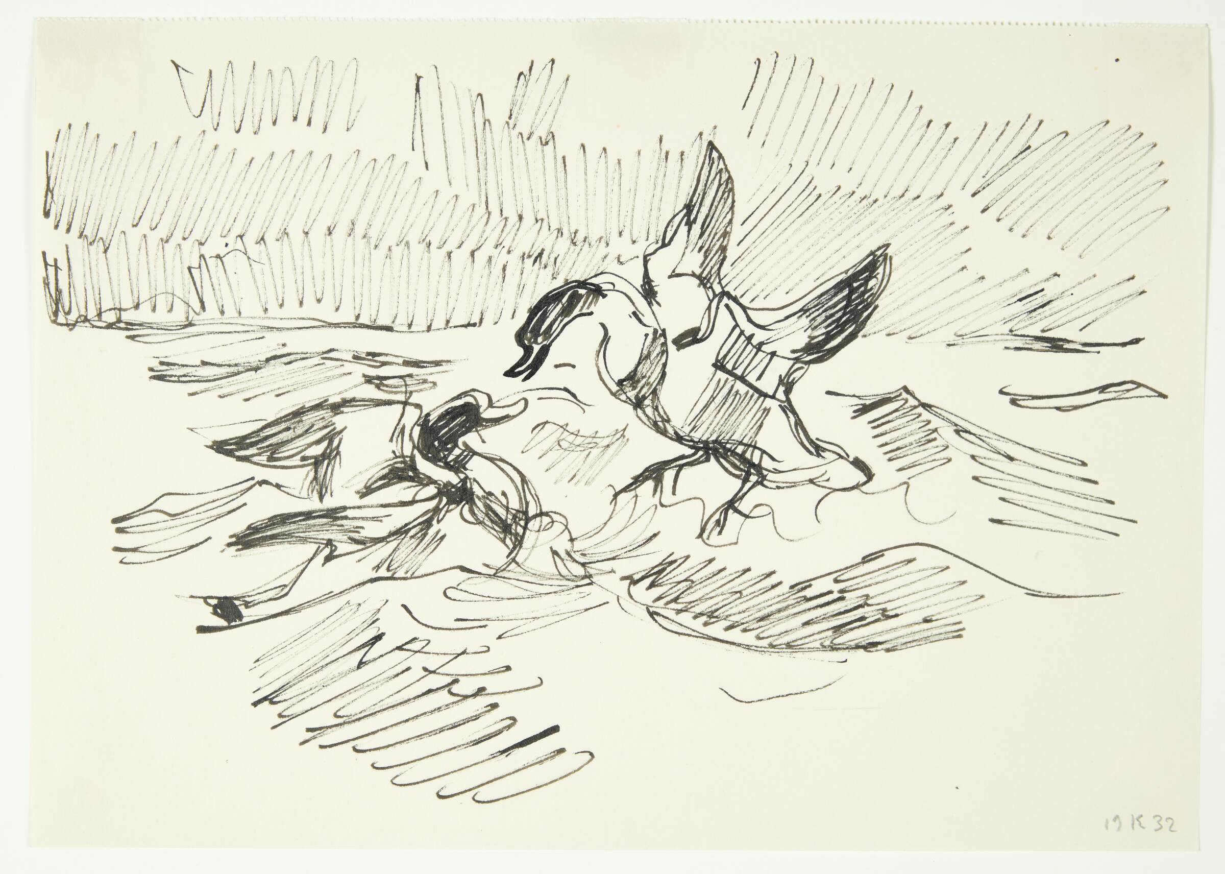 To svømmefugle, Knud Kyhn, 1932