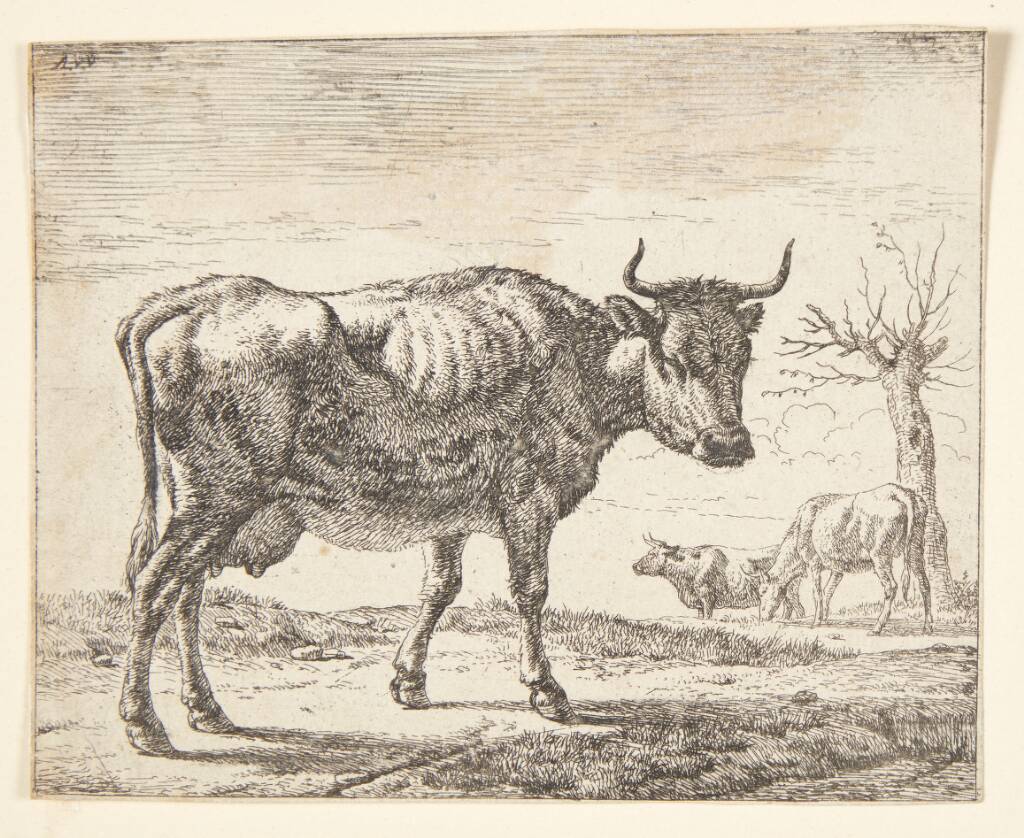 Tre køer, Adriaen van de Velde, 1636-1672