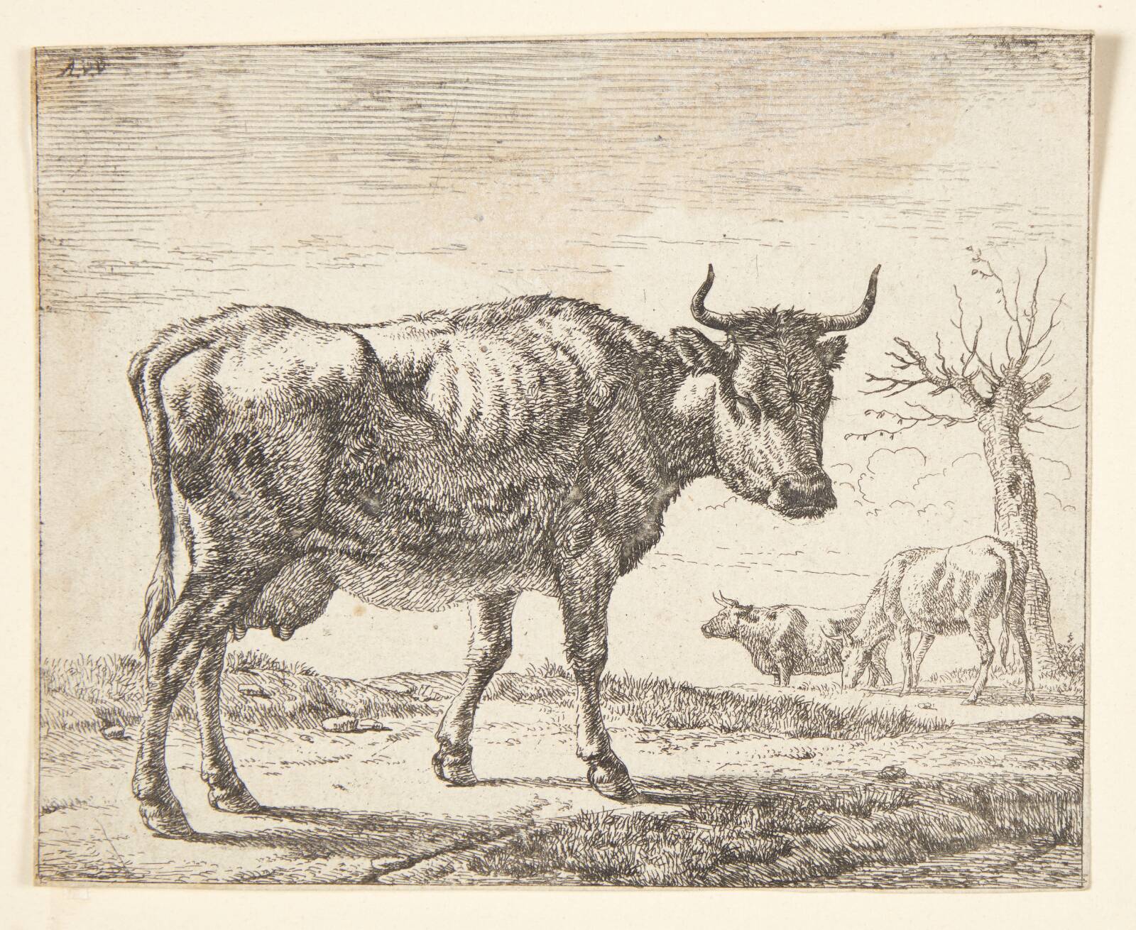 Tre køer, Adriaen van de Velde, 1636-1672