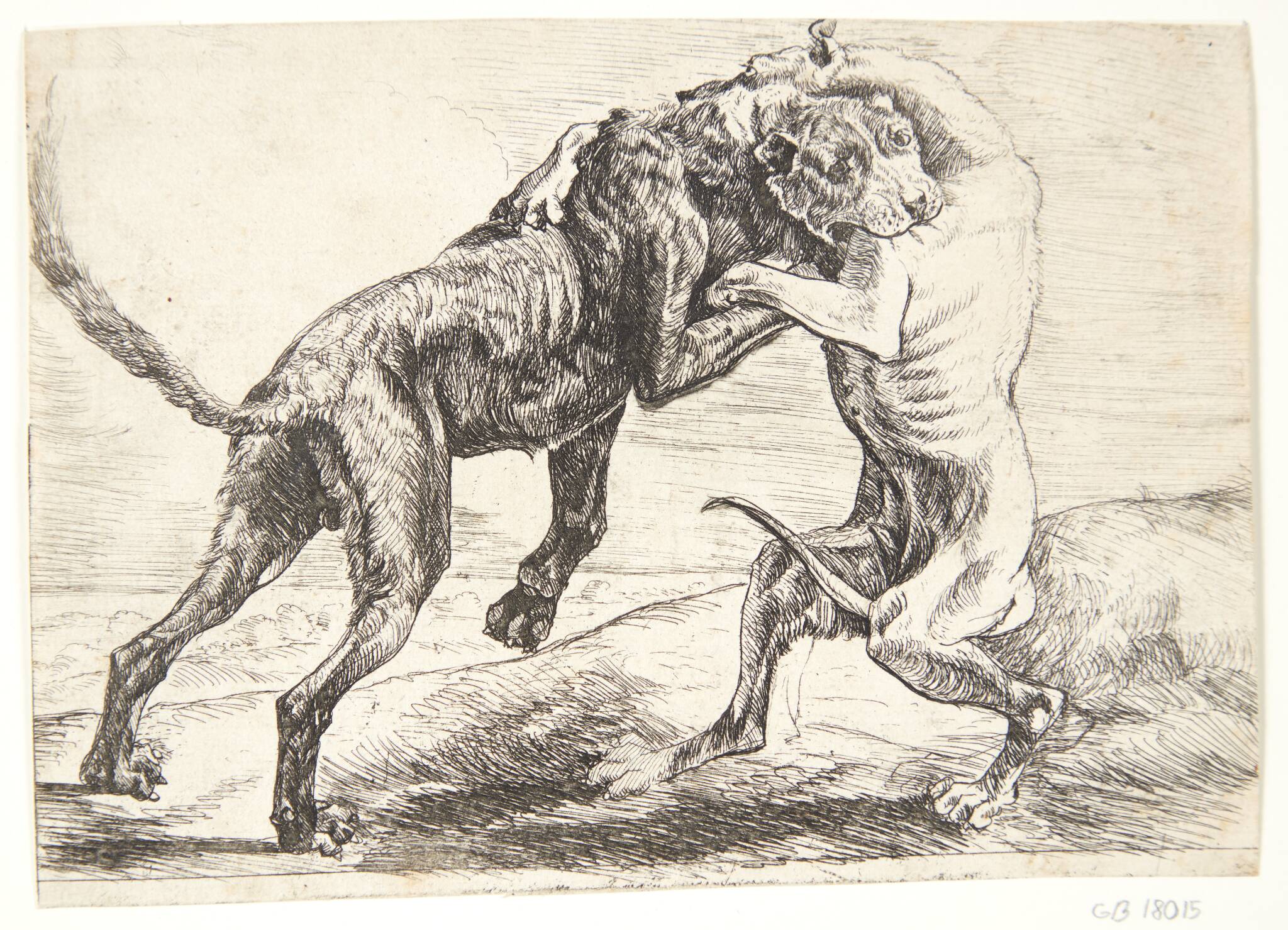 To hunde der kæmper