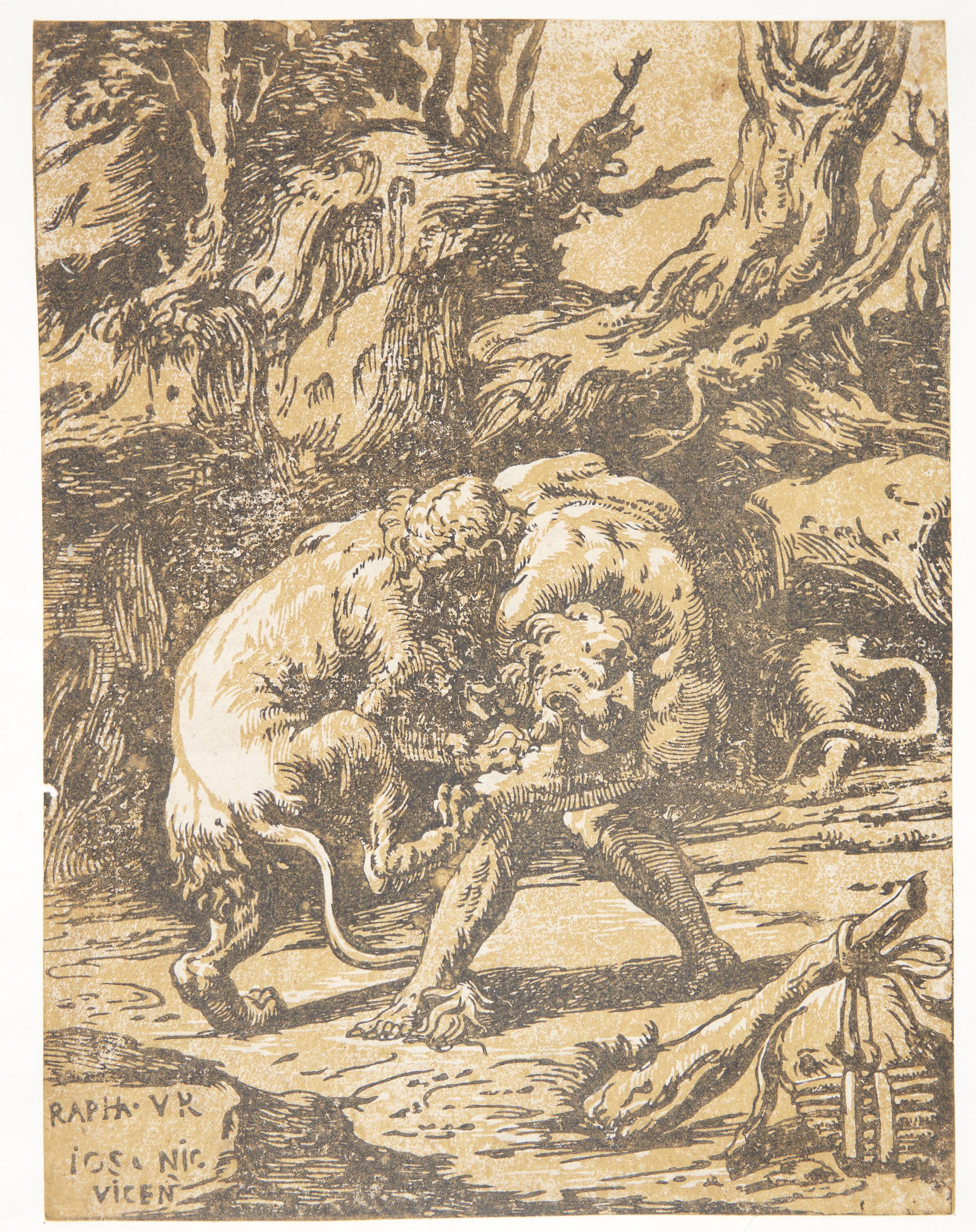 Herkules og den nemæiske løve, Nicolò Vicentino, 1510-1550