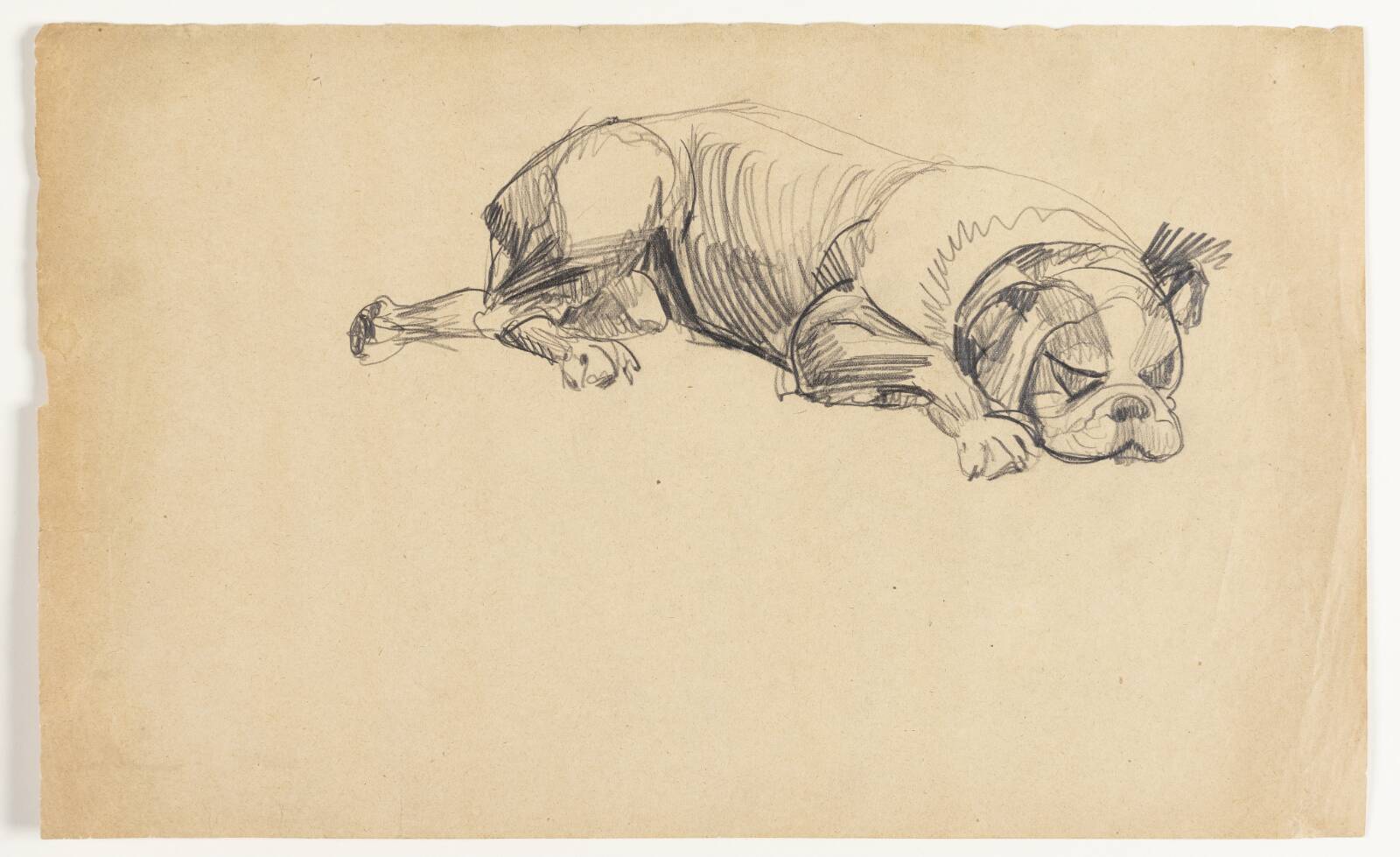 Sovende hund, Astrid Holm, 1876-1937