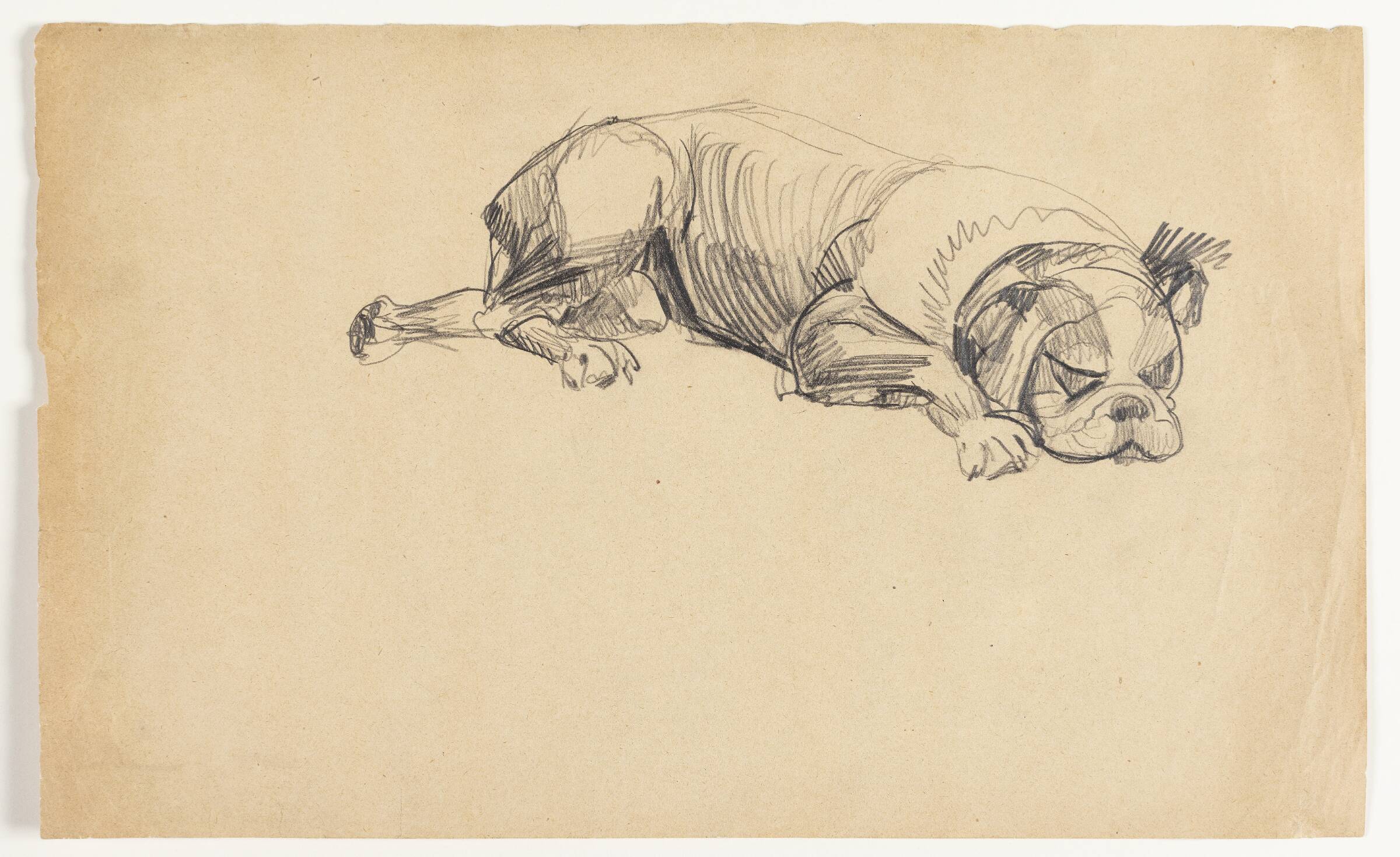 Sovende hund, Astrid Holm, 1876-1937