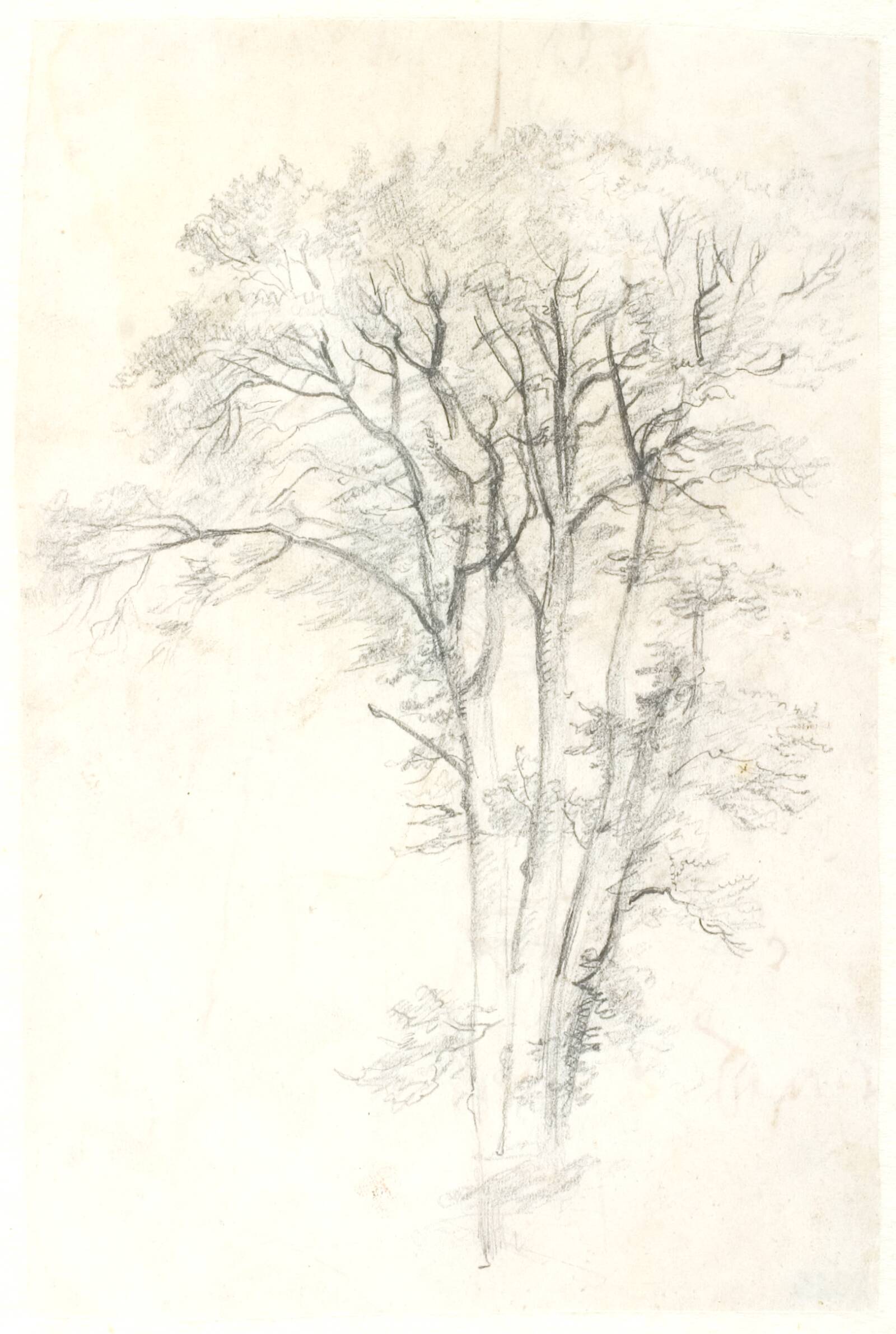 Træstudie, Dankvart Dreyer, 1837-1839