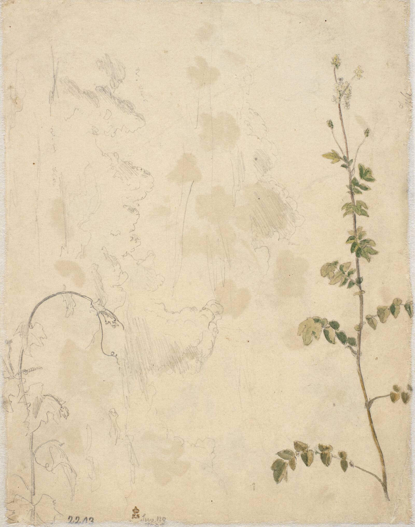 Planter. En skyhimmel, Dankvart Dreyer, 1840-1849